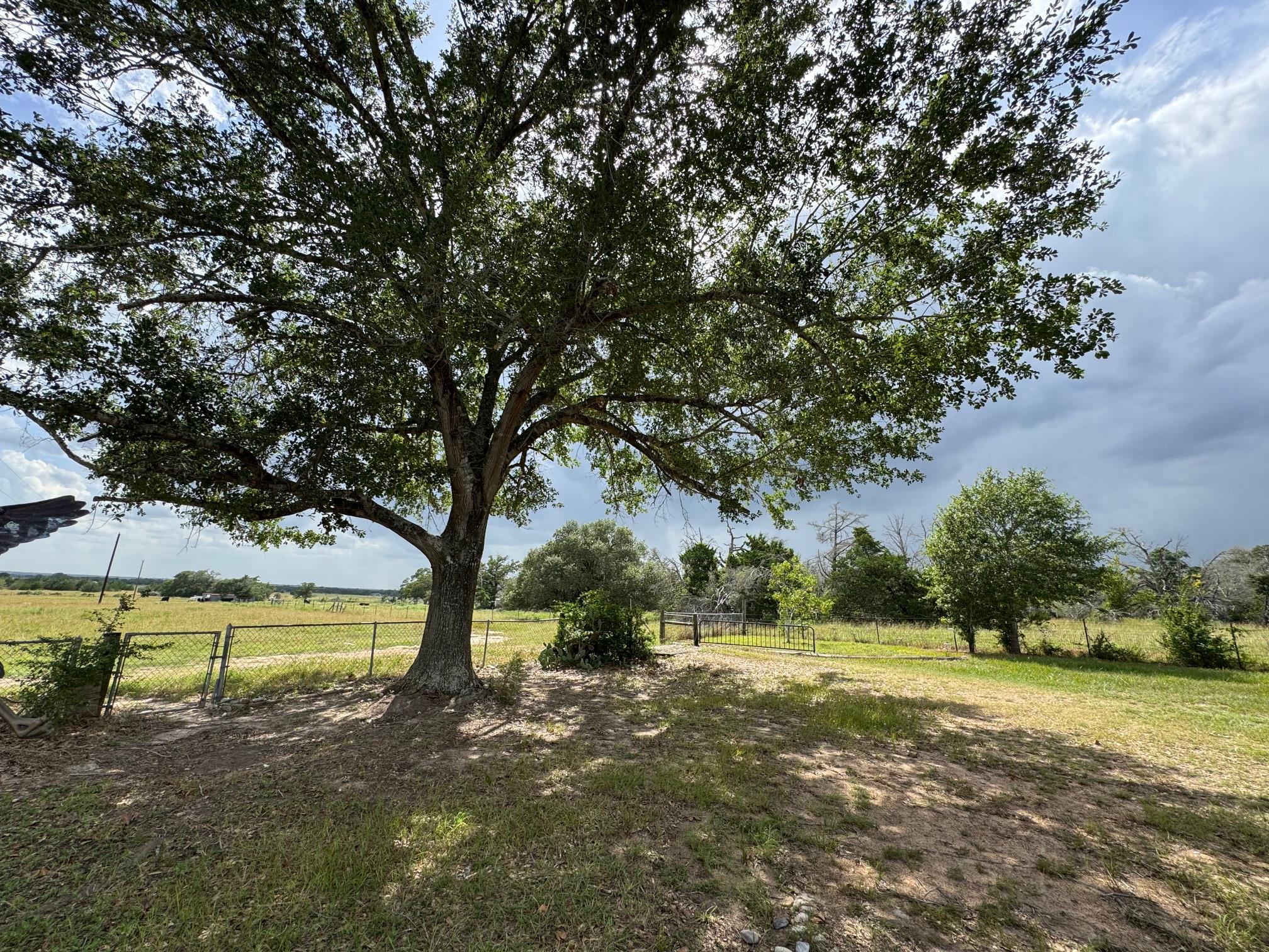 4317 Fm 955 Rd, Fayetteville, TX 78940