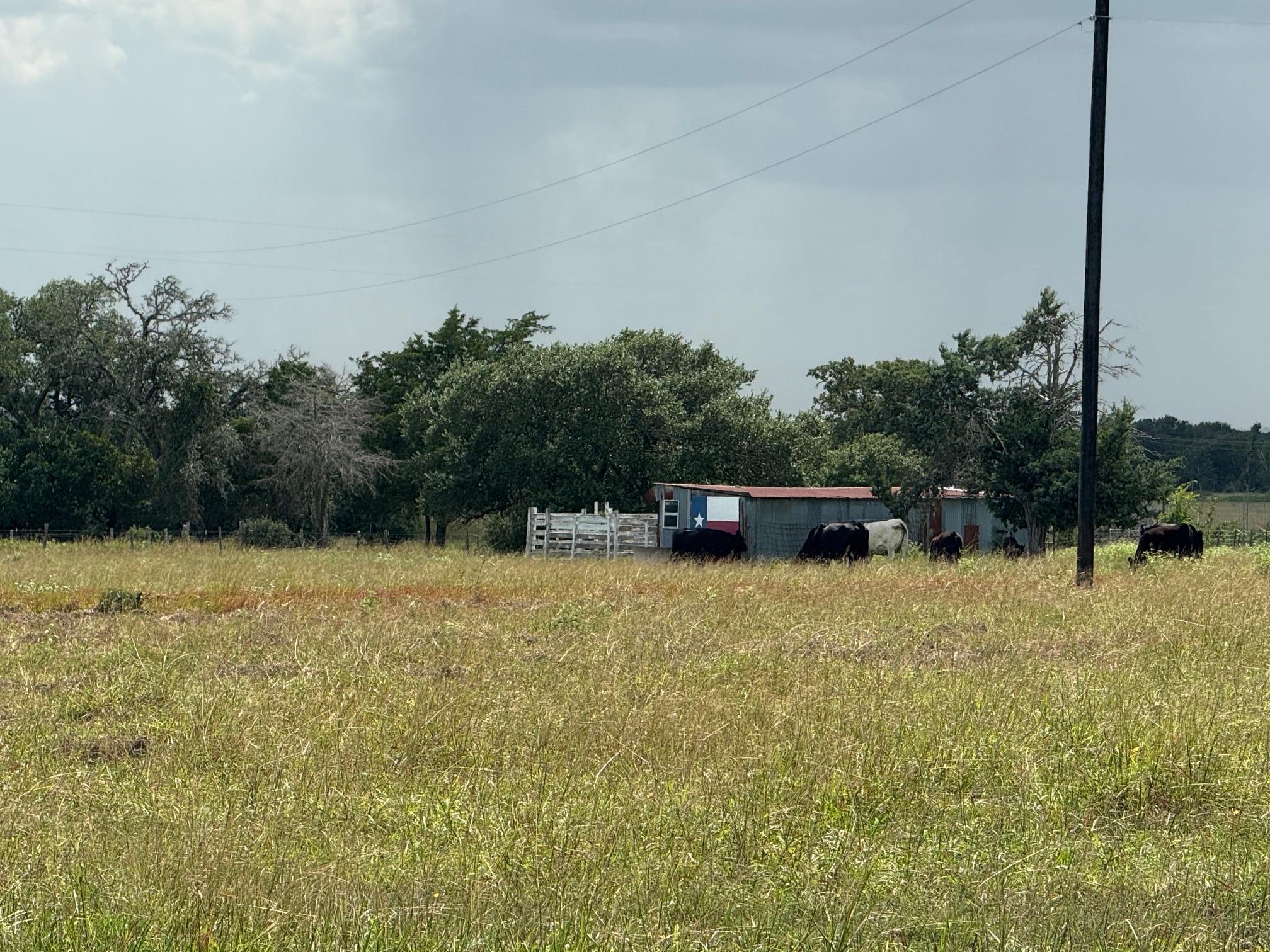 4317 Fm 955 Rd, Fayetteville, TX 78940