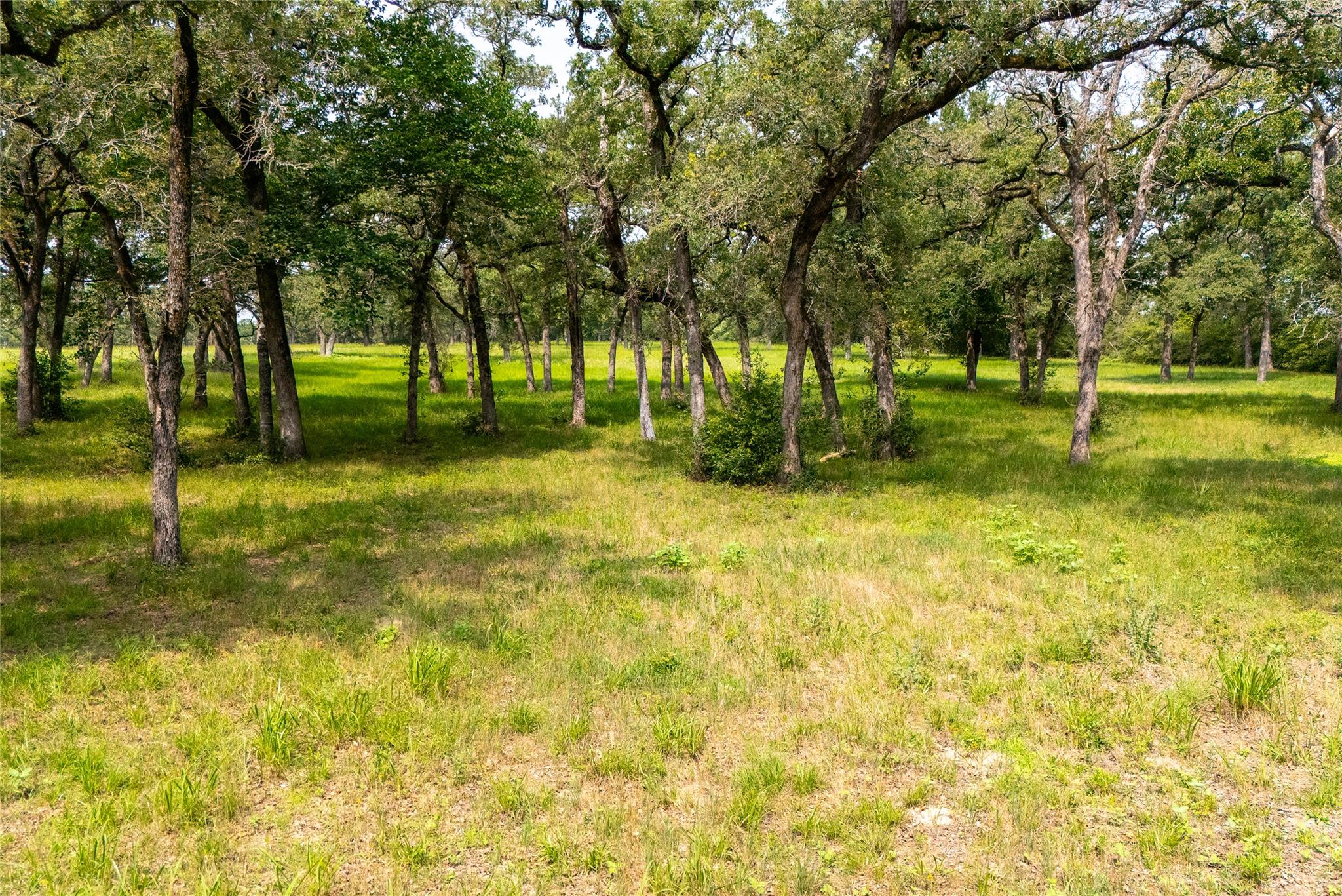 3011 CR 314, Rockdale, TX 76567