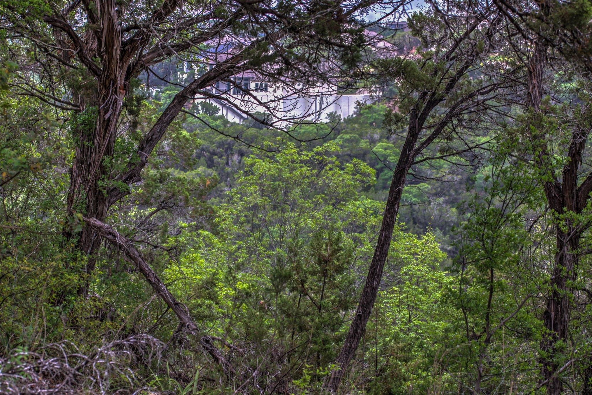 18333 Hidden Ridge Pl, Leander, TX 78645