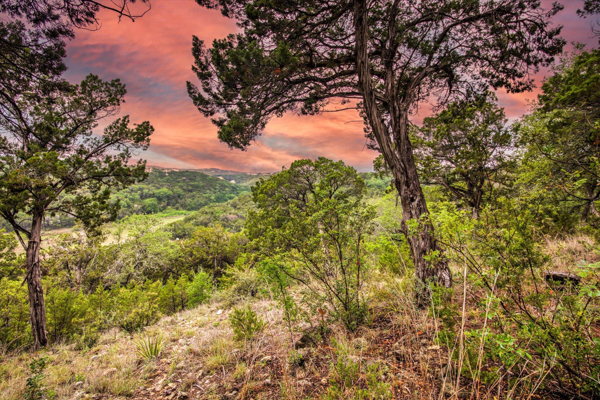 18333 Hidden Ridge Pl, Leander, TX 78645