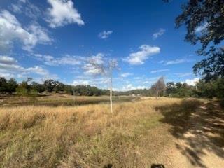 Lot 18 of Ranches Woodland Trail Rnch, Caldwell, TX 77836