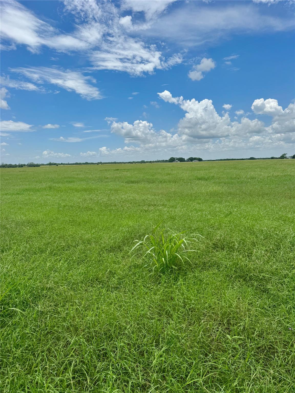TBD Lot 1 Hoffman Rd, Seguin, TX 78155