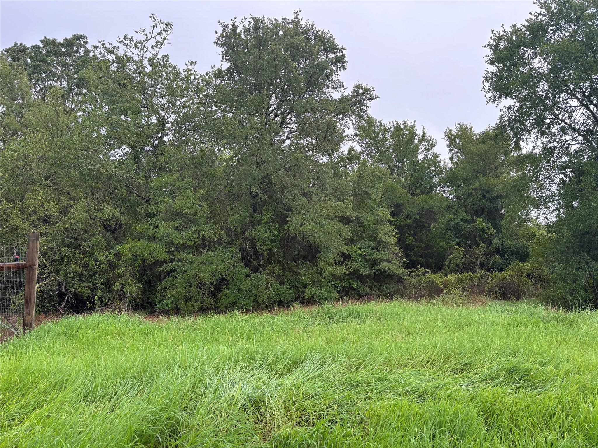 LOT 31 Blanket Flower Dr, Bastrop, TX 78602