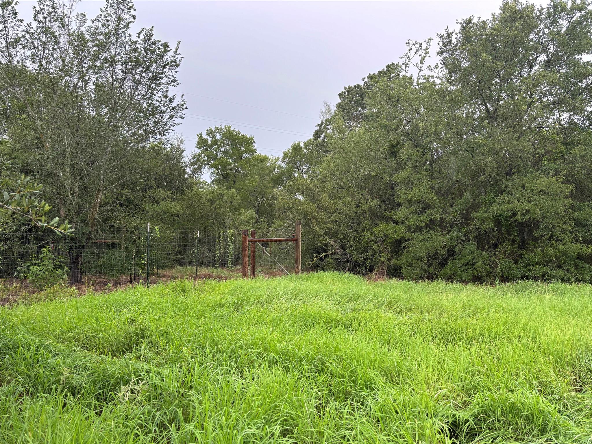 LOT 31 Blanket Flower Dr, Bastrop, TX 78602