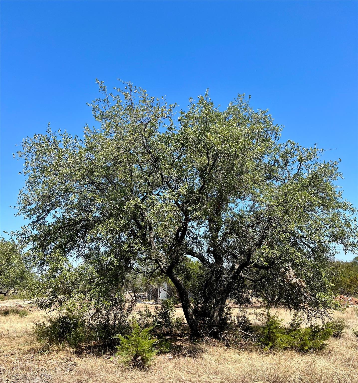 2201 Park View Dr, Marble Falls, TX 78654