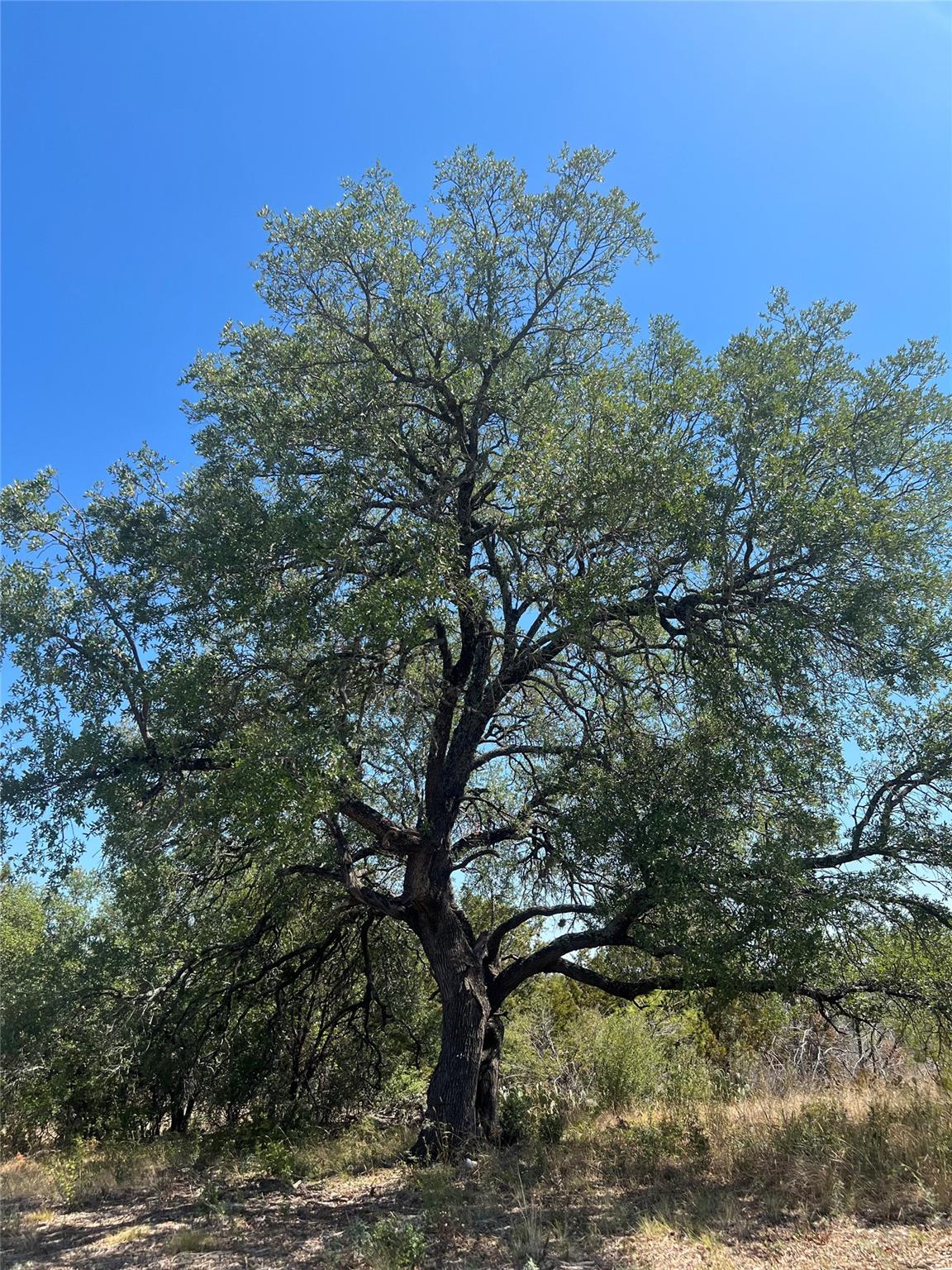 2201 Park View Dr, Marble Falls, TX 78654