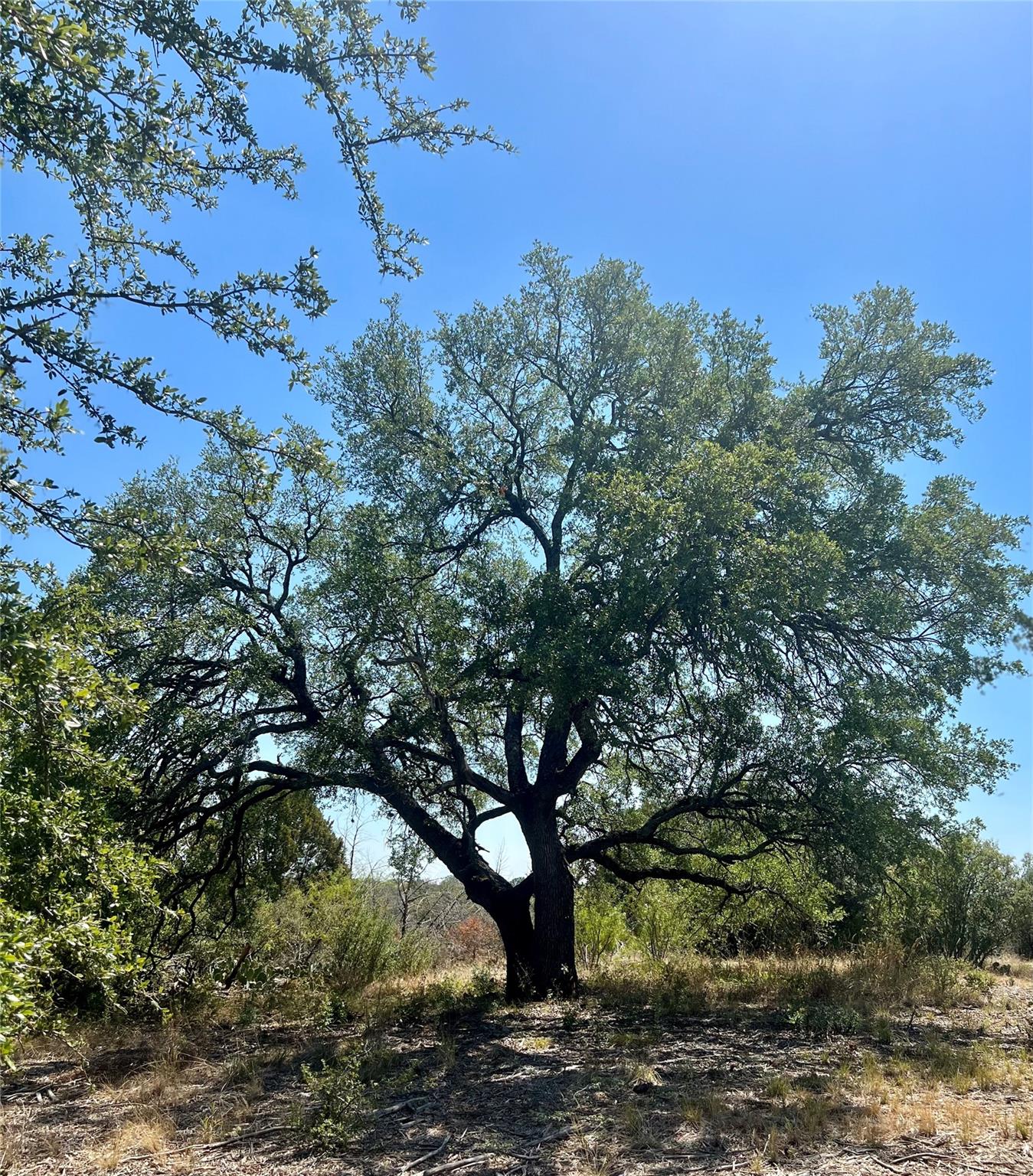 2201 Park View Dr, Marble Falls, TX 78654