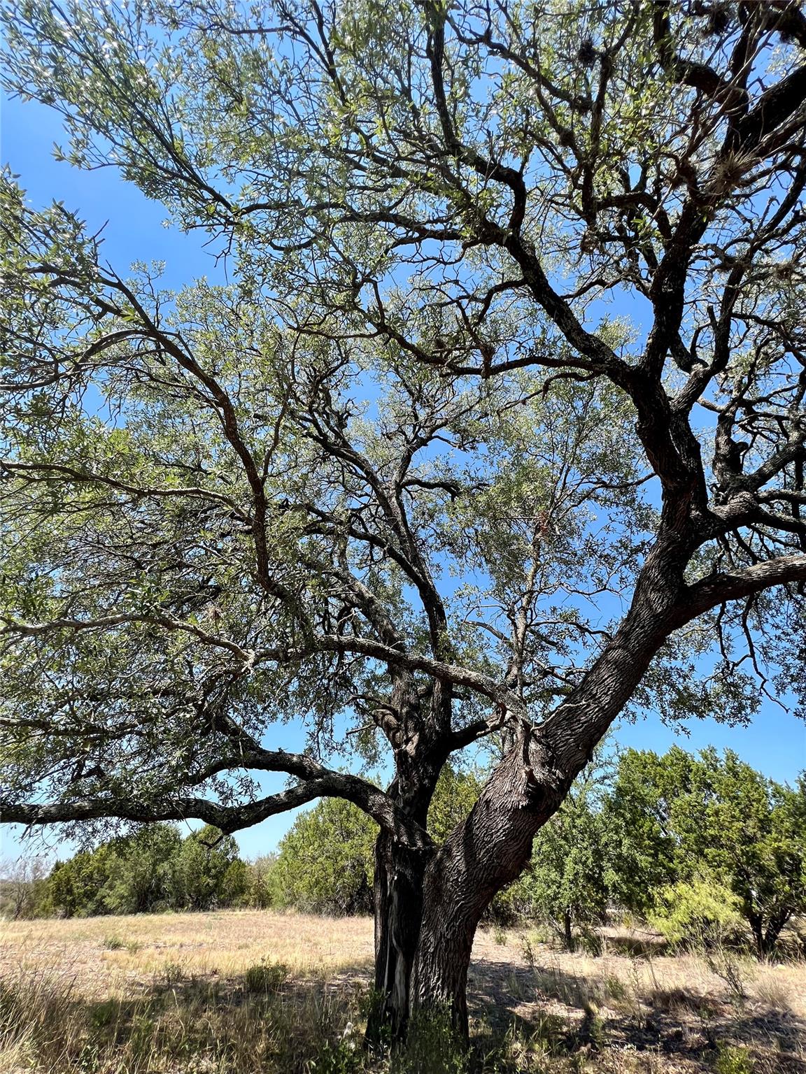 2201 Park View Dr, Marble Falls, TX 78654