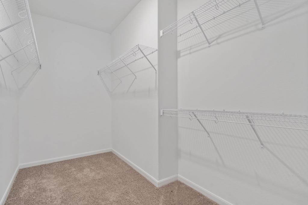 3875 Trail De Paris, New Braunfels, TX 78132