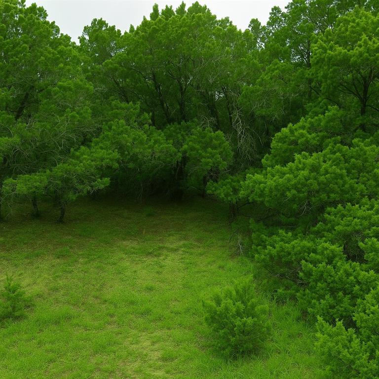 4414 Liberty Ln, Leander, TX 78645