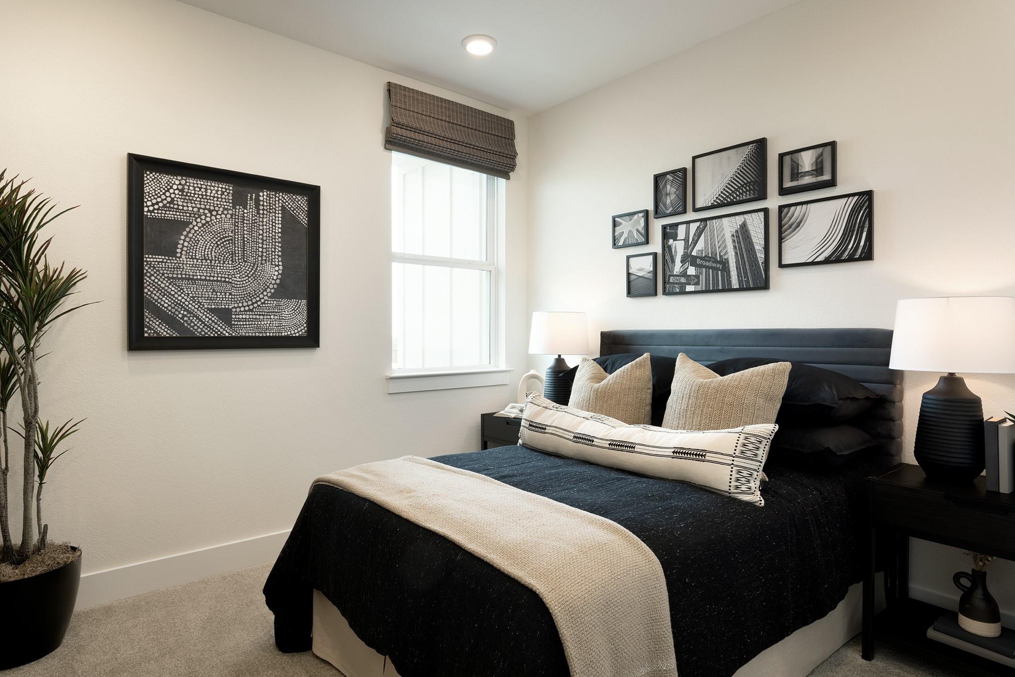 2095 Ezra Finn Loop, Round Rock, TX 78665