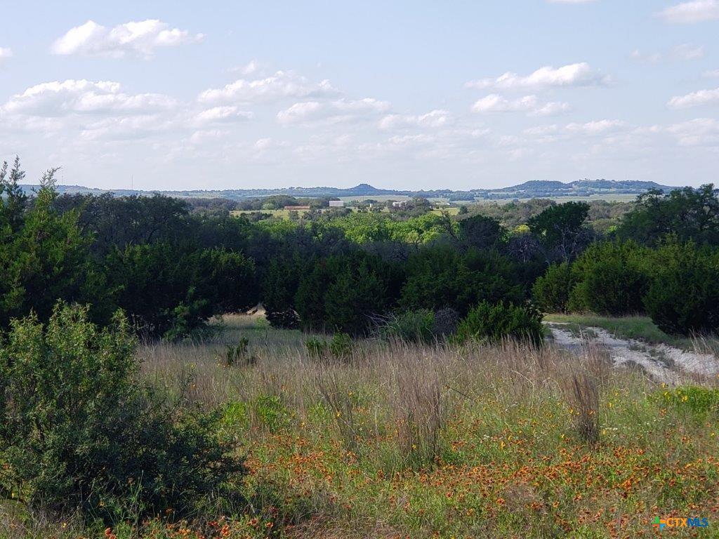 Lot 4 CR 1255 Pitt Creek Ranch, Lampasas, TX 76550