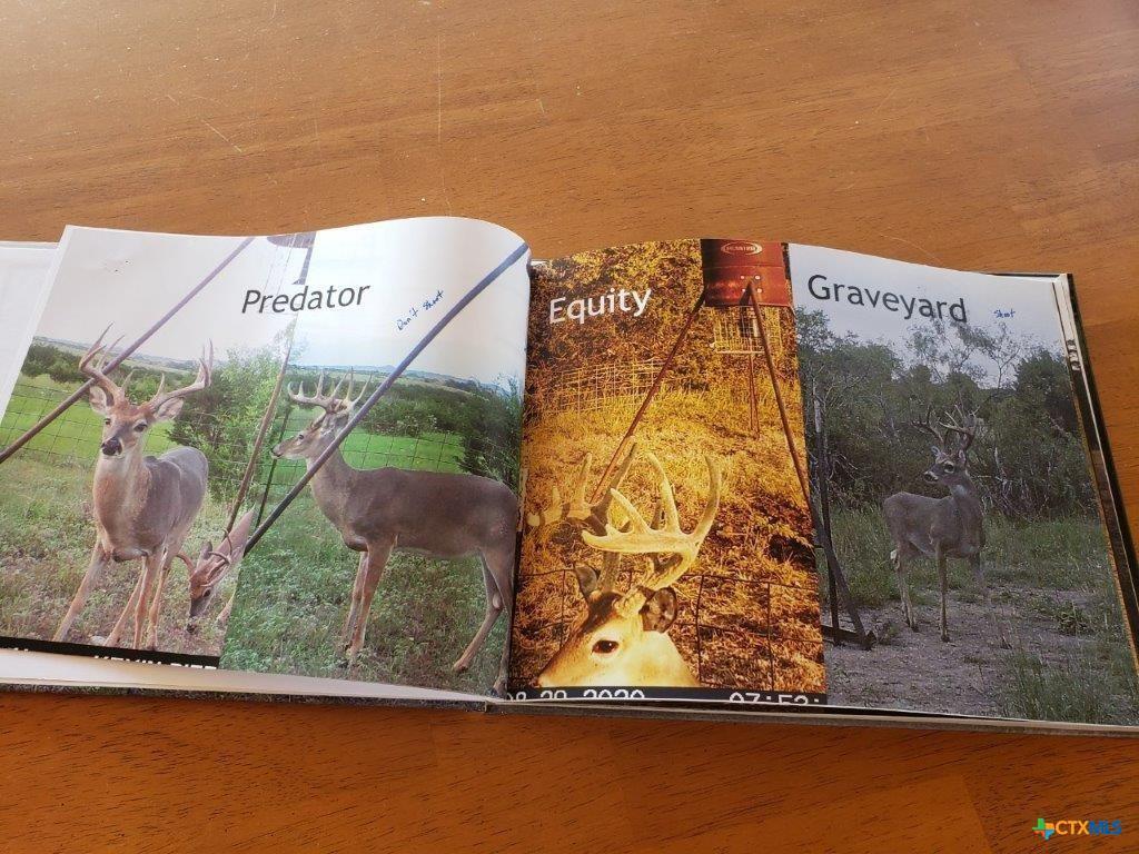 Lot 4 CR 1255 Pitt Creek Ranch, Lampasas, TX 76550