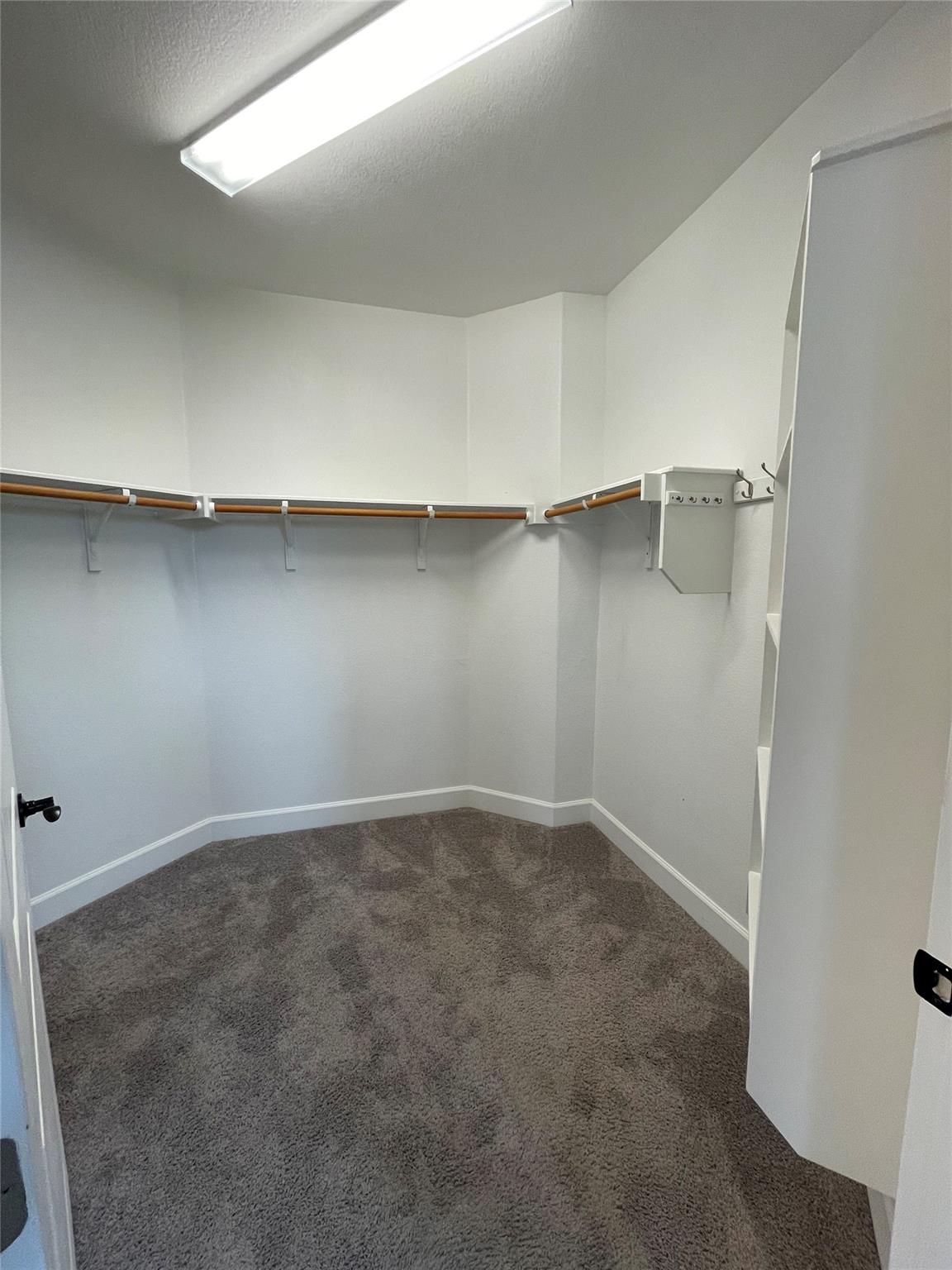 115 Hopping Peach Cv, San Marcos, TX 78666