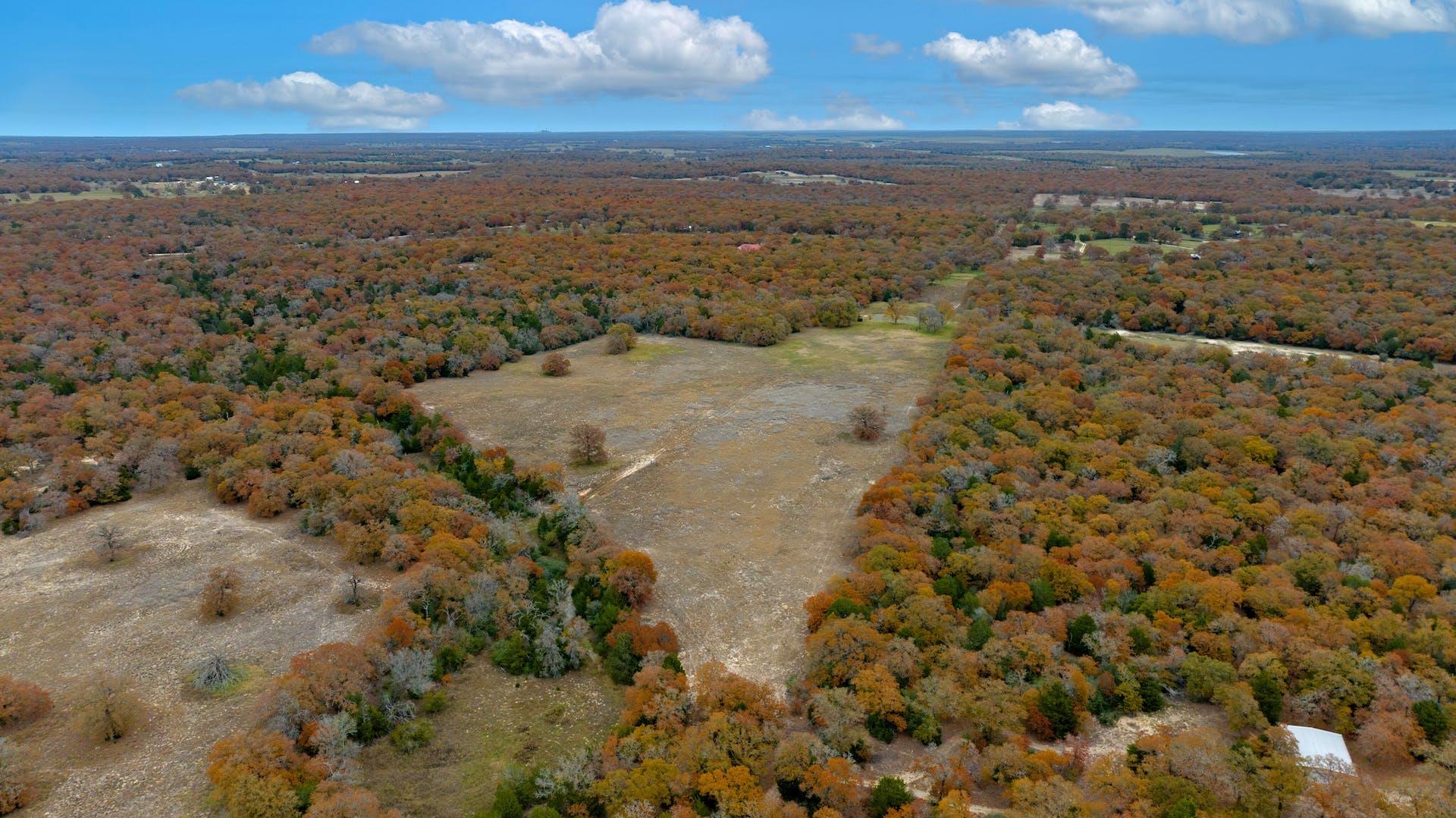 1563 County Road 312 Rd, Thrall, TX 76578