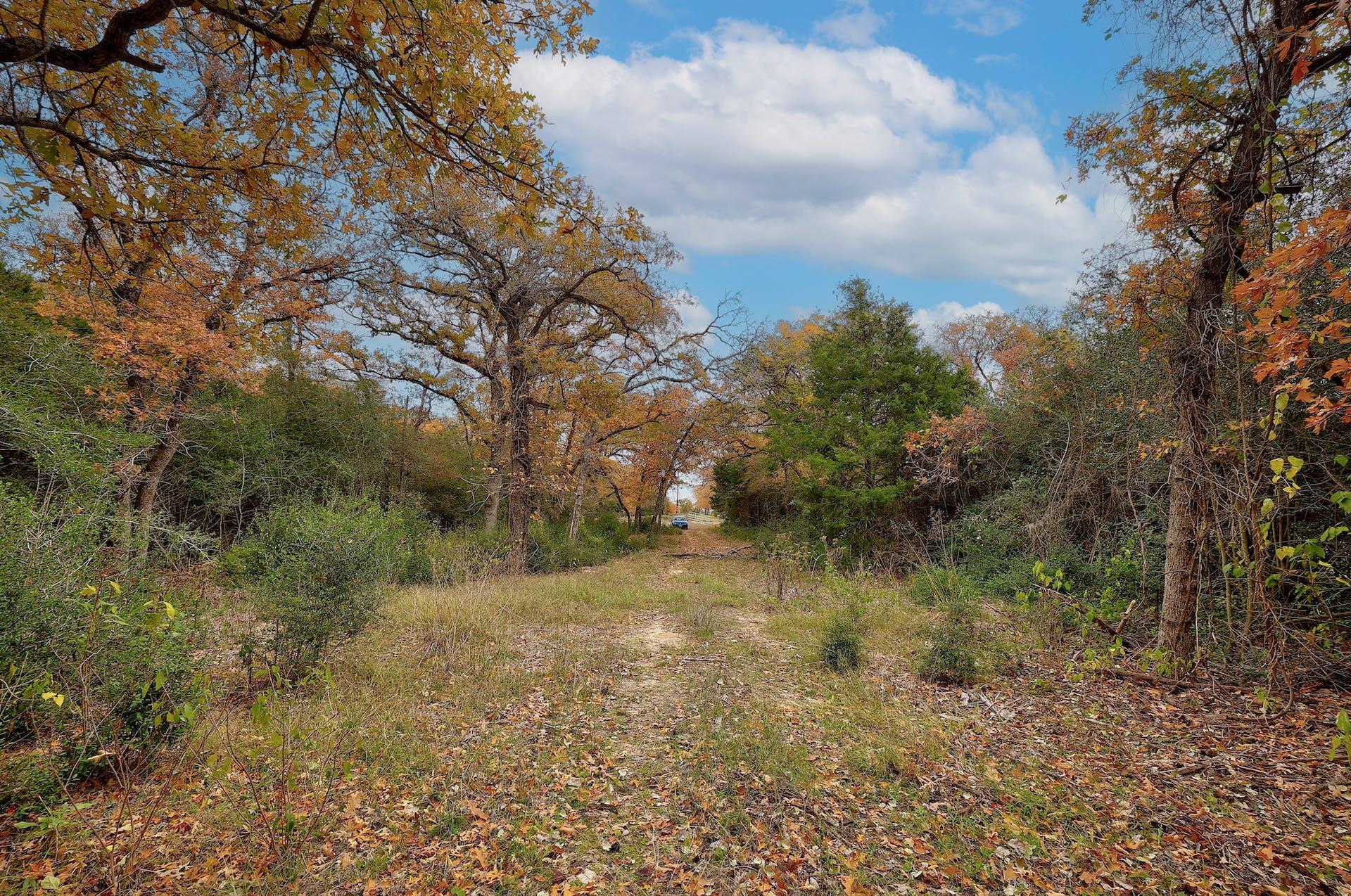 1563 County Road 312 Rd, Thrall, TX 76578