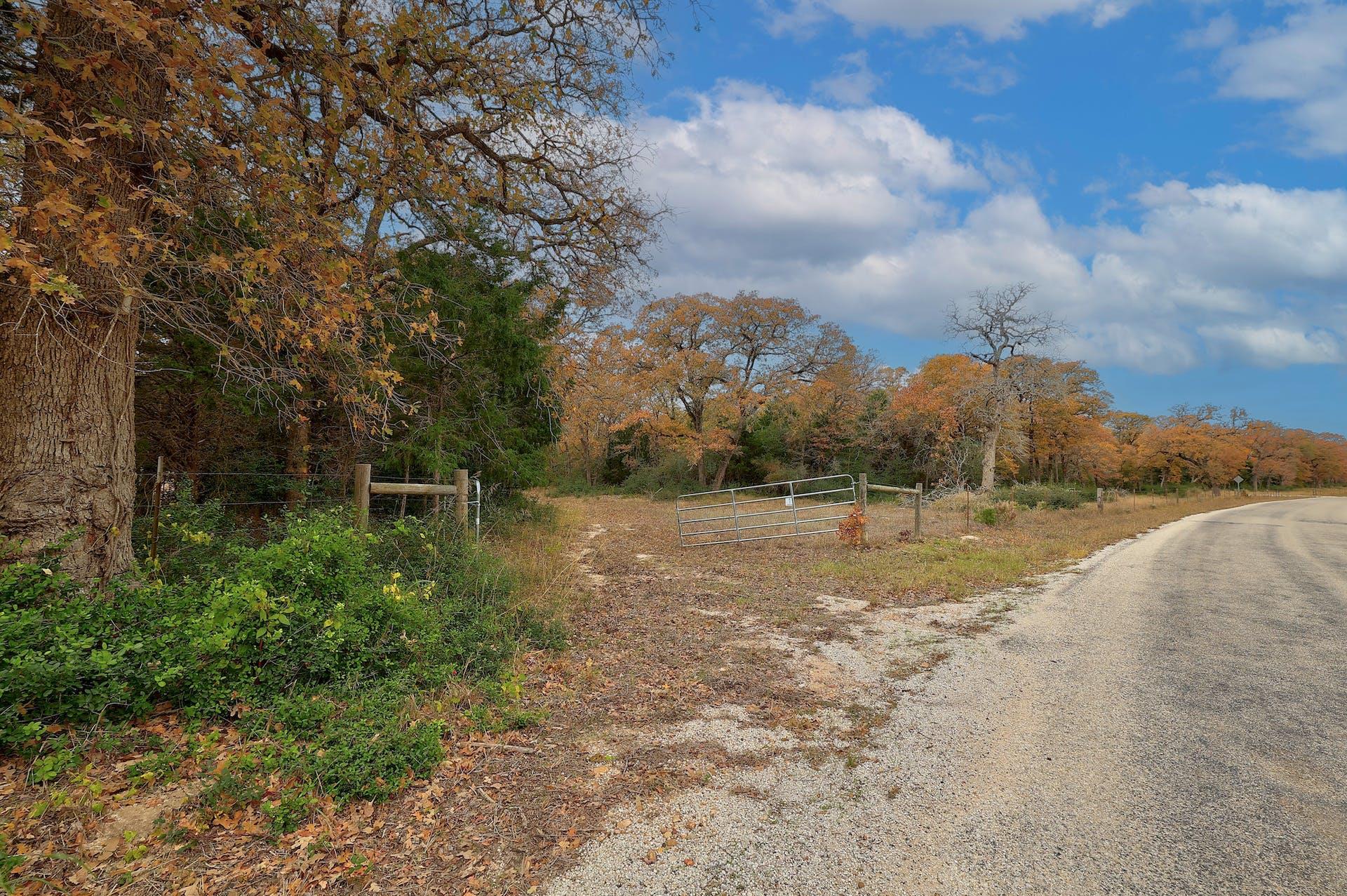 1563 County Road 312 Rd, Thrall, TX 76578