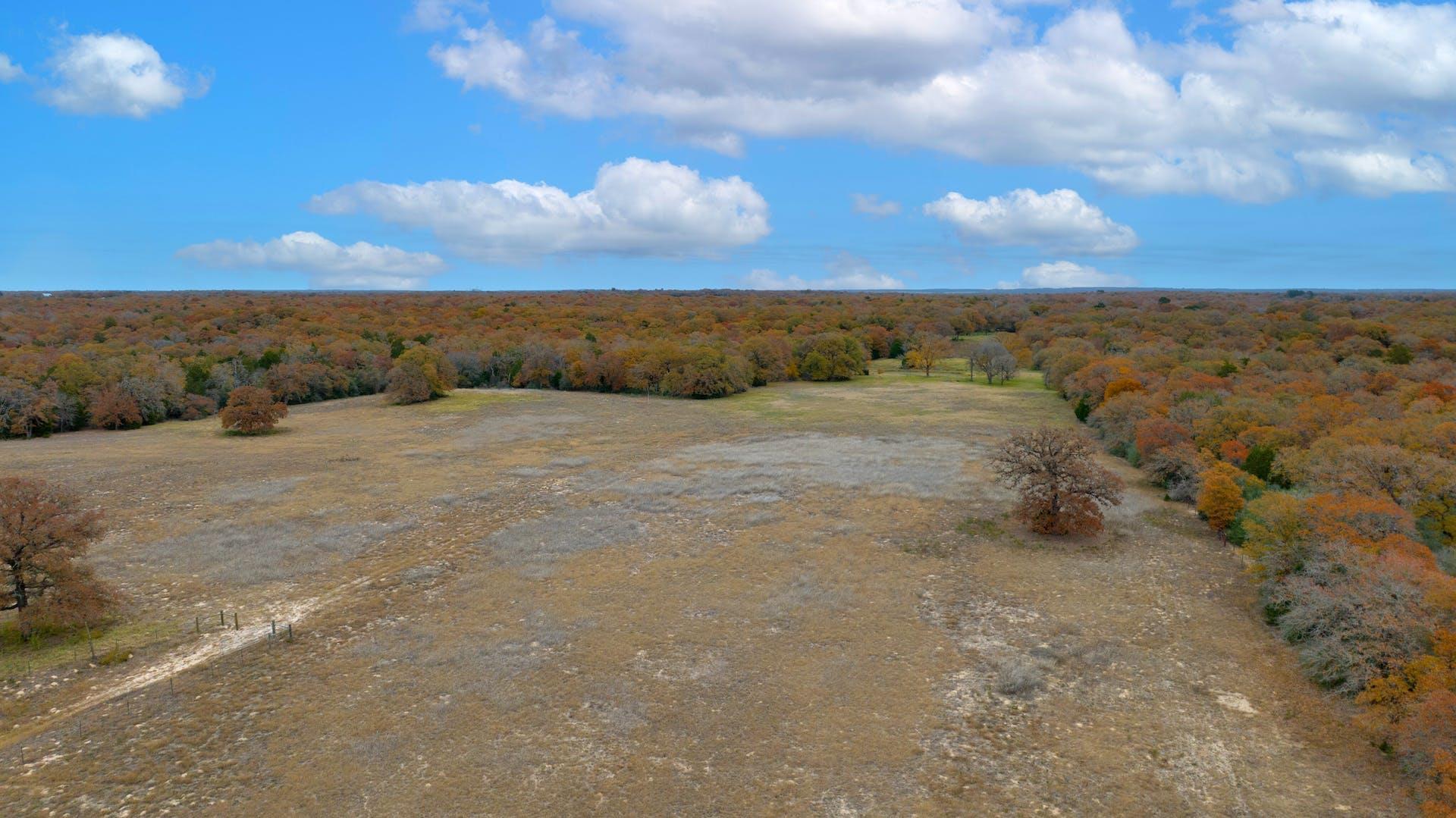 1563 County Road 312 Rd, Thrall, TX 76578