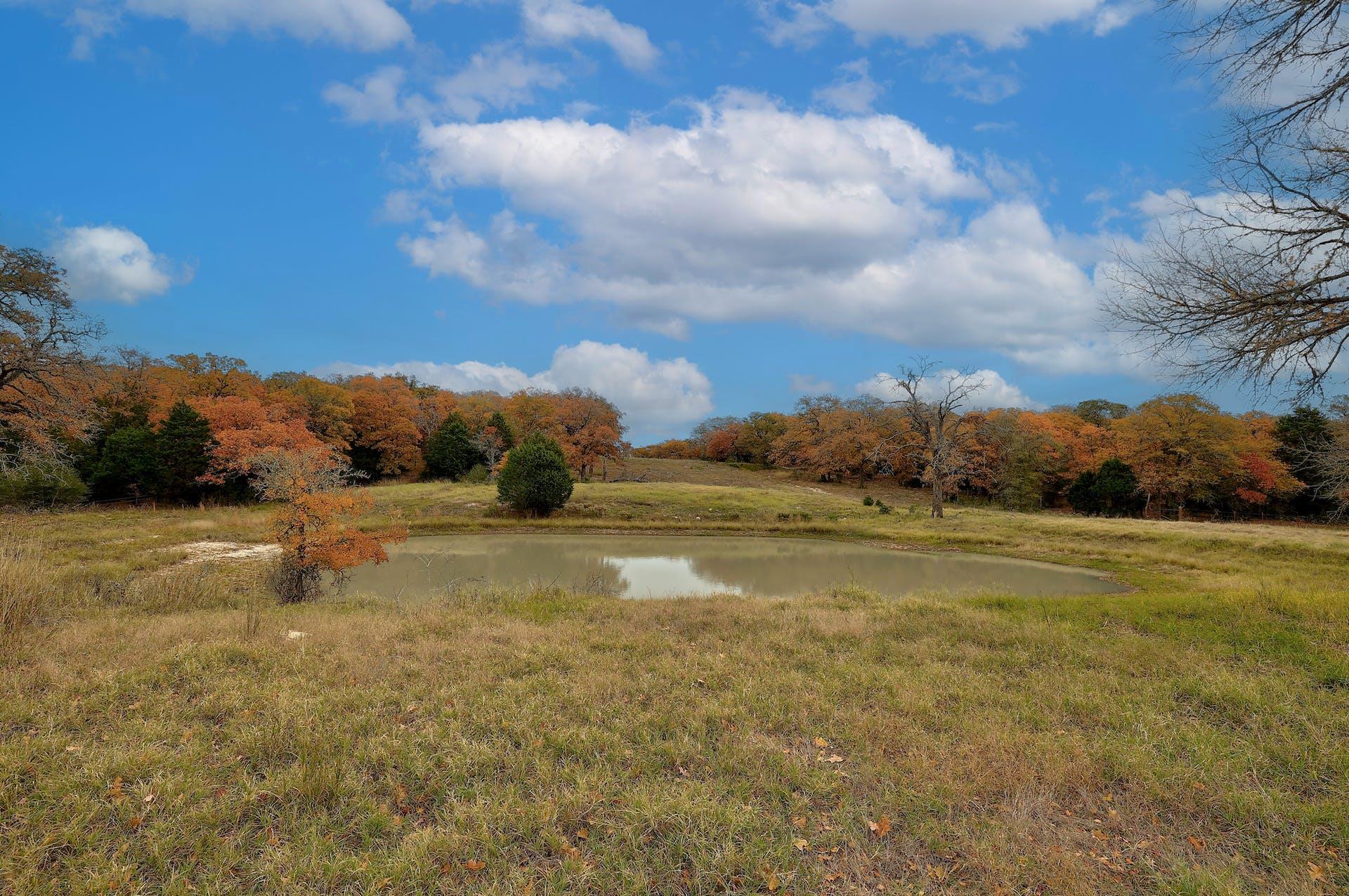 1563 County Road 312 Rd, Thrall, TX 76578