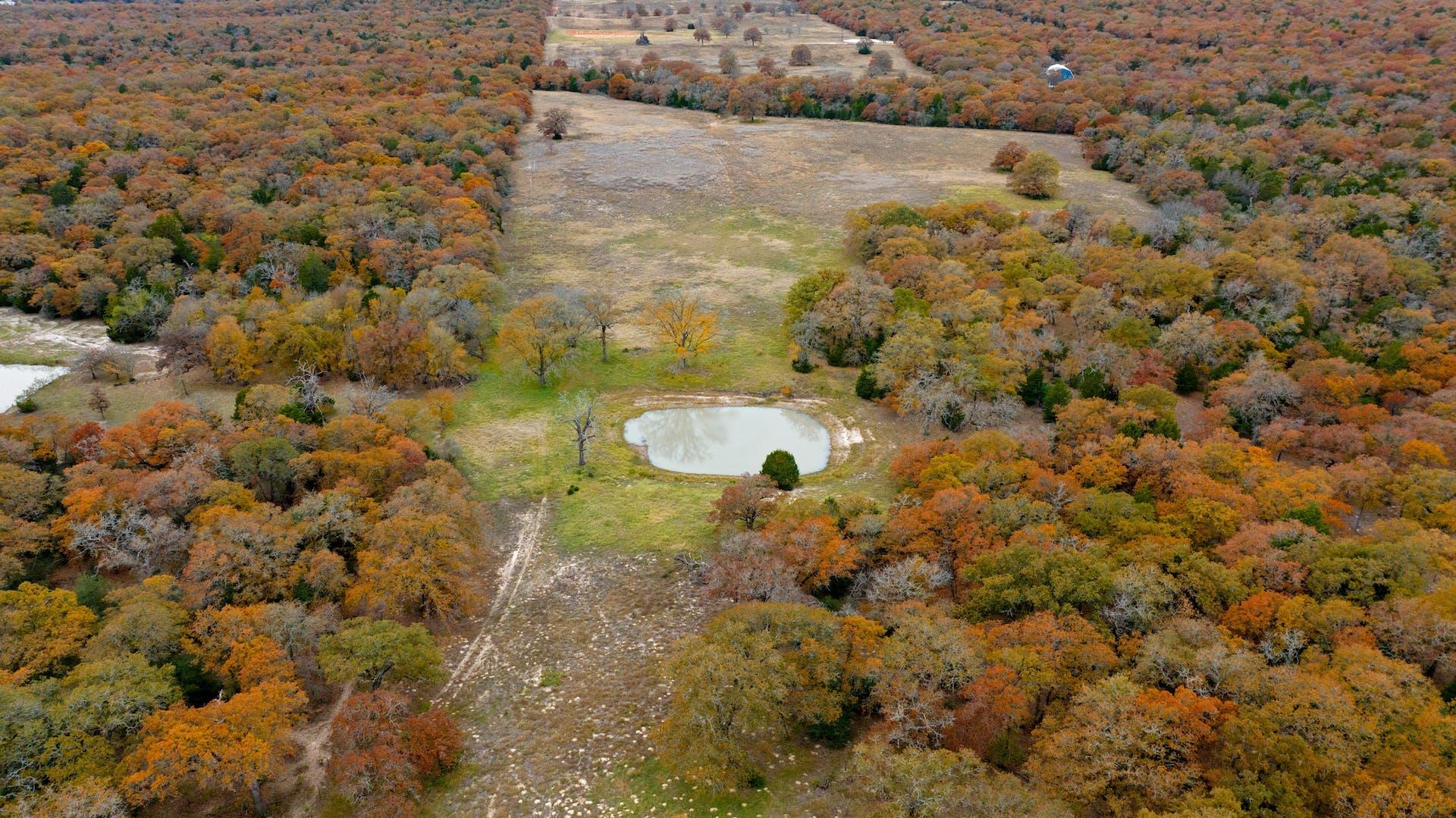 1563 County Road 312 Rd, Thrall, TX 76578