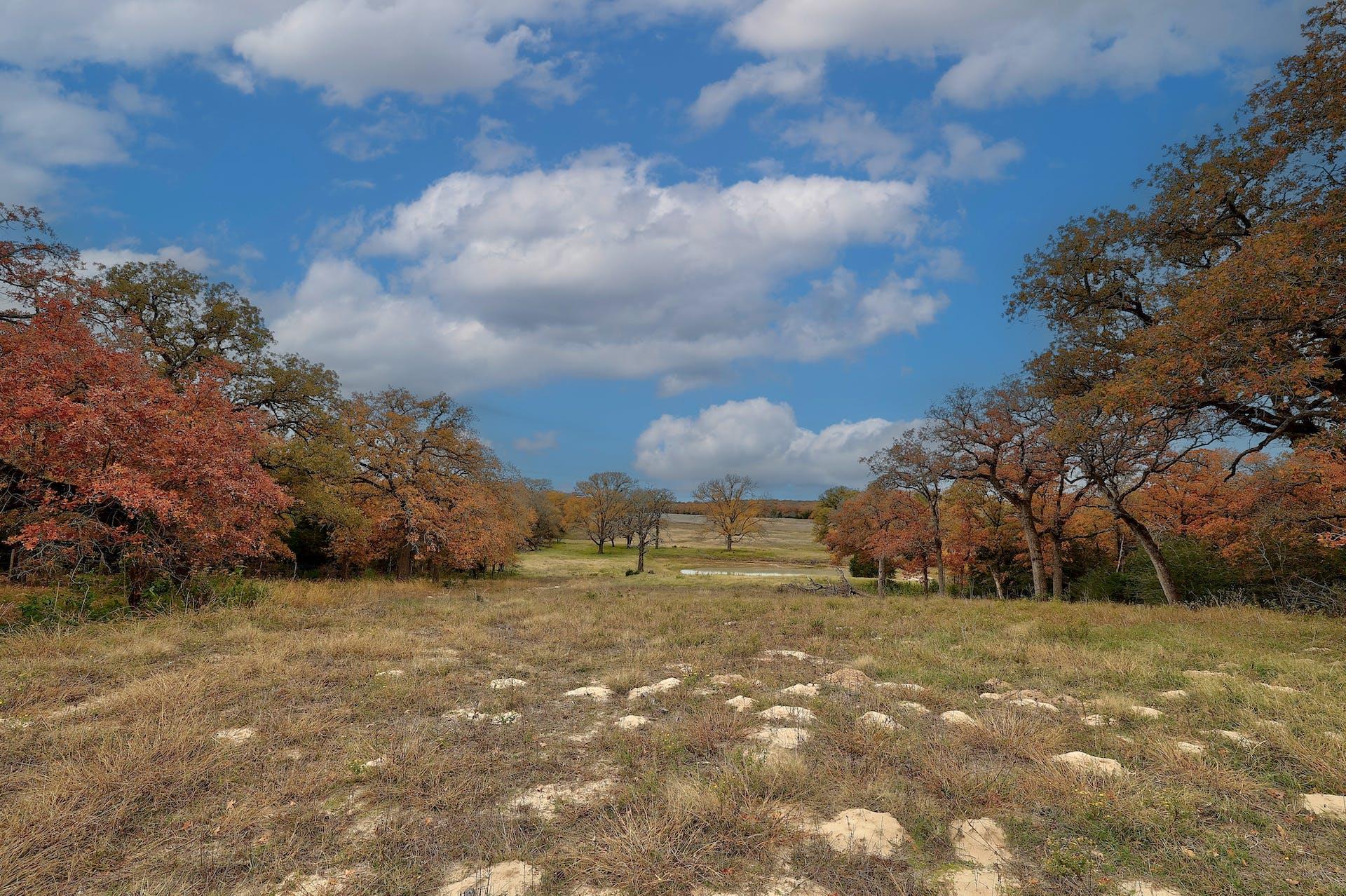 1563 County Road 312 Rd, Thrall, TX 76578