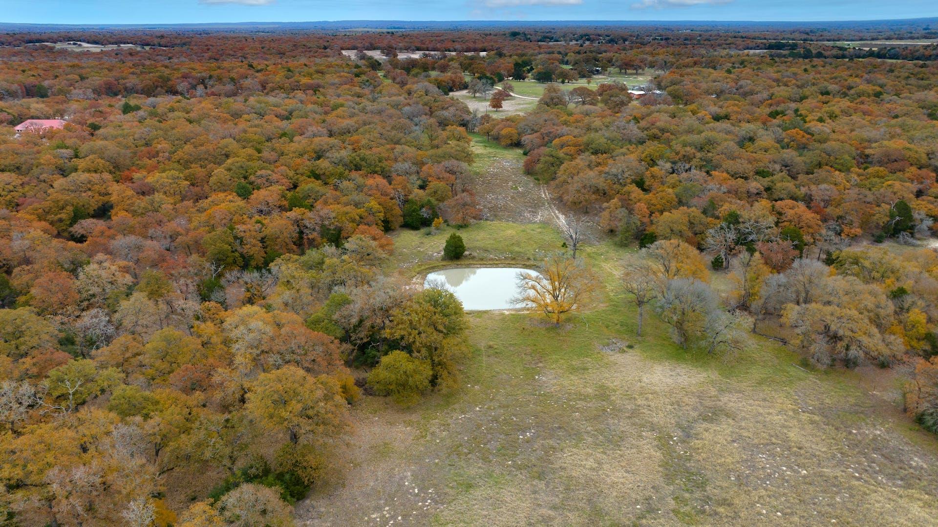 1563 County Road 312 Rd, Thrall, TX 76578