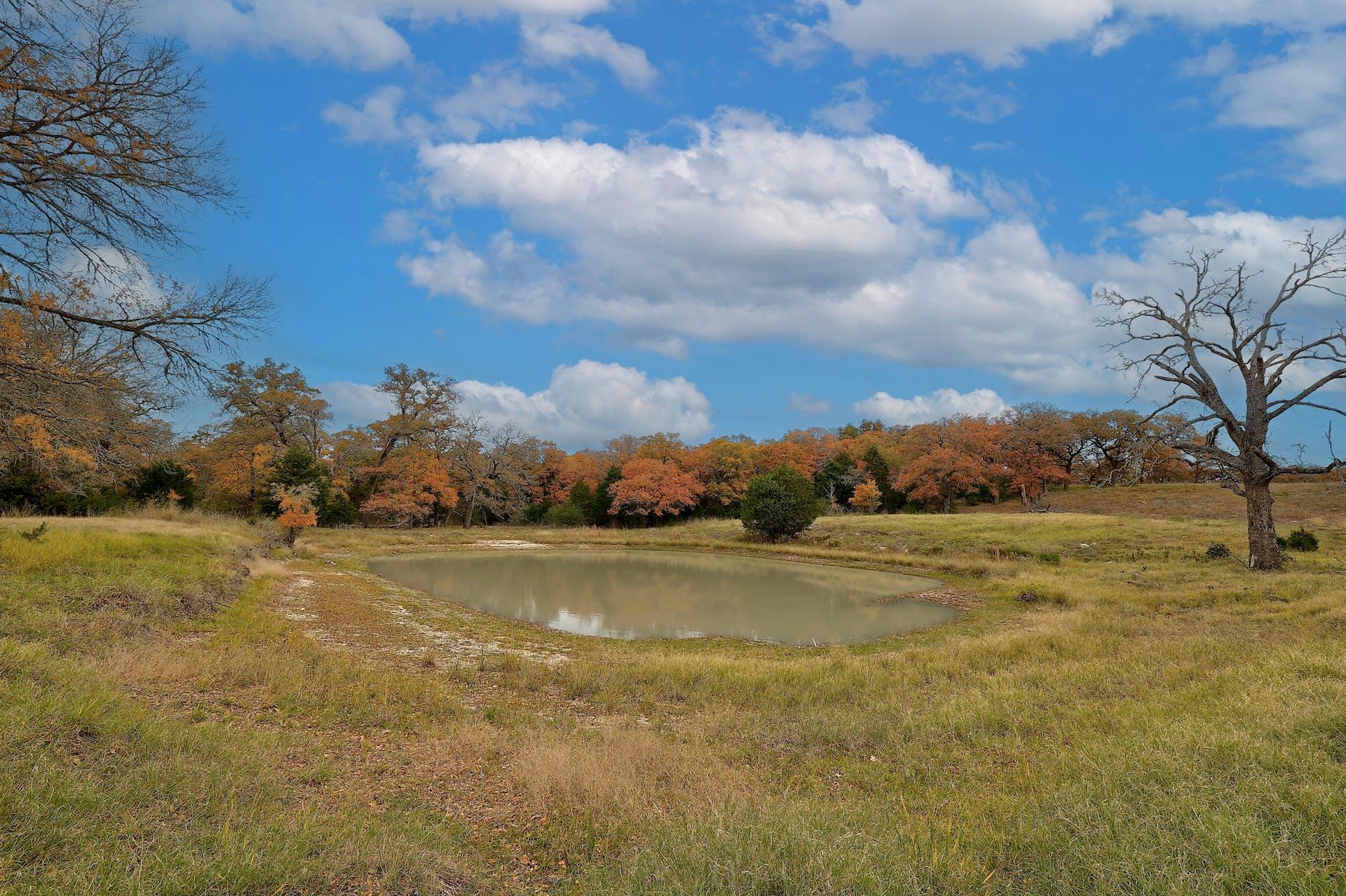 1563 County Road 312 Rd, Thrall, TX 76578