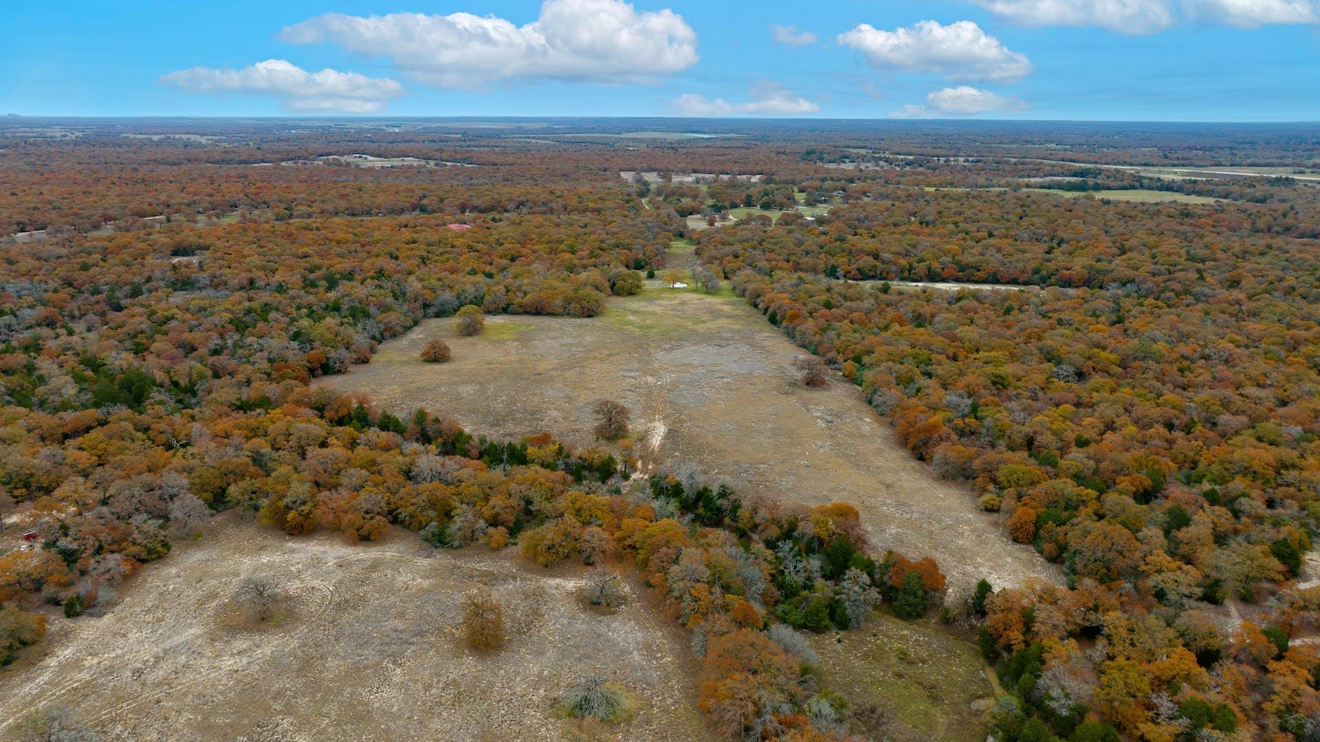 1563 County Road 312 Rd, Thrall, TX 76578