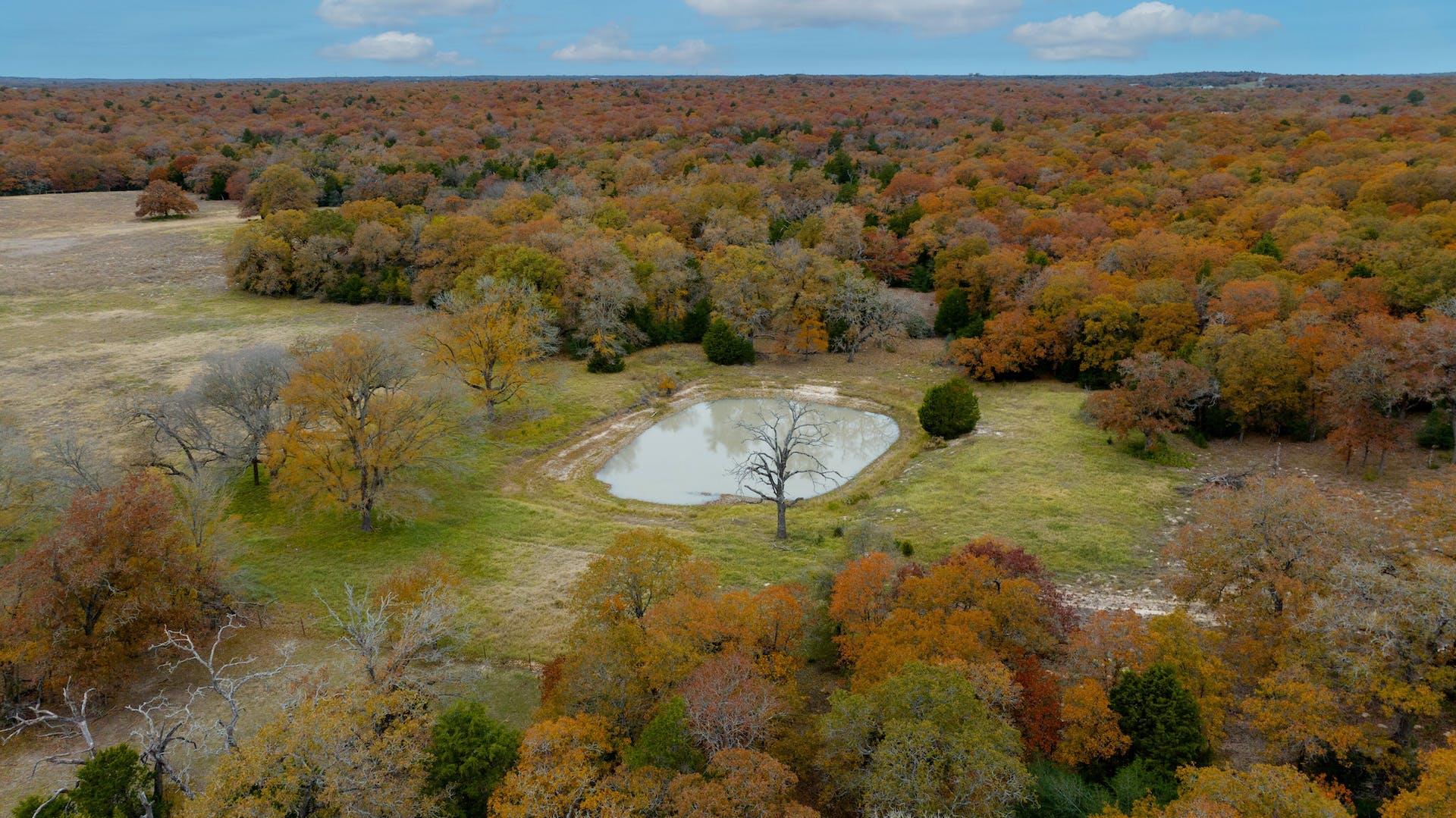 1563 County Road 312 Rd, Thrall, TX 76578