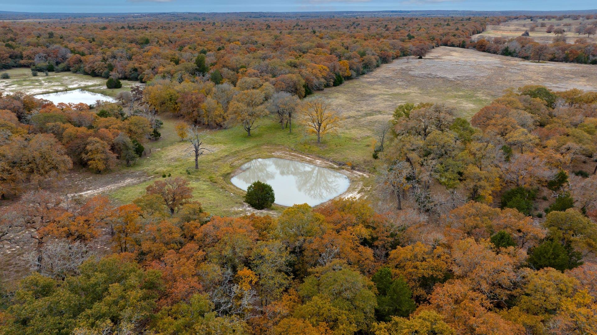 1563 County Road 312 Rd, Thrall, TX 76578