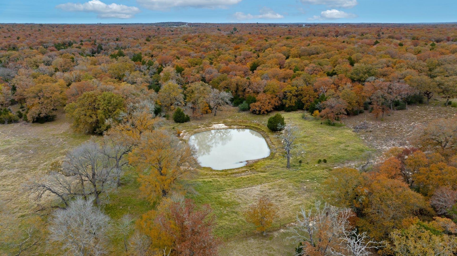 1563 County Road 312 Rd, Thrall, TX 76578