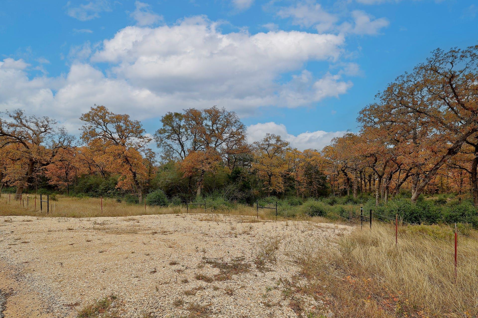 1563 County Road 312 Rd, Thrall, TX 76578