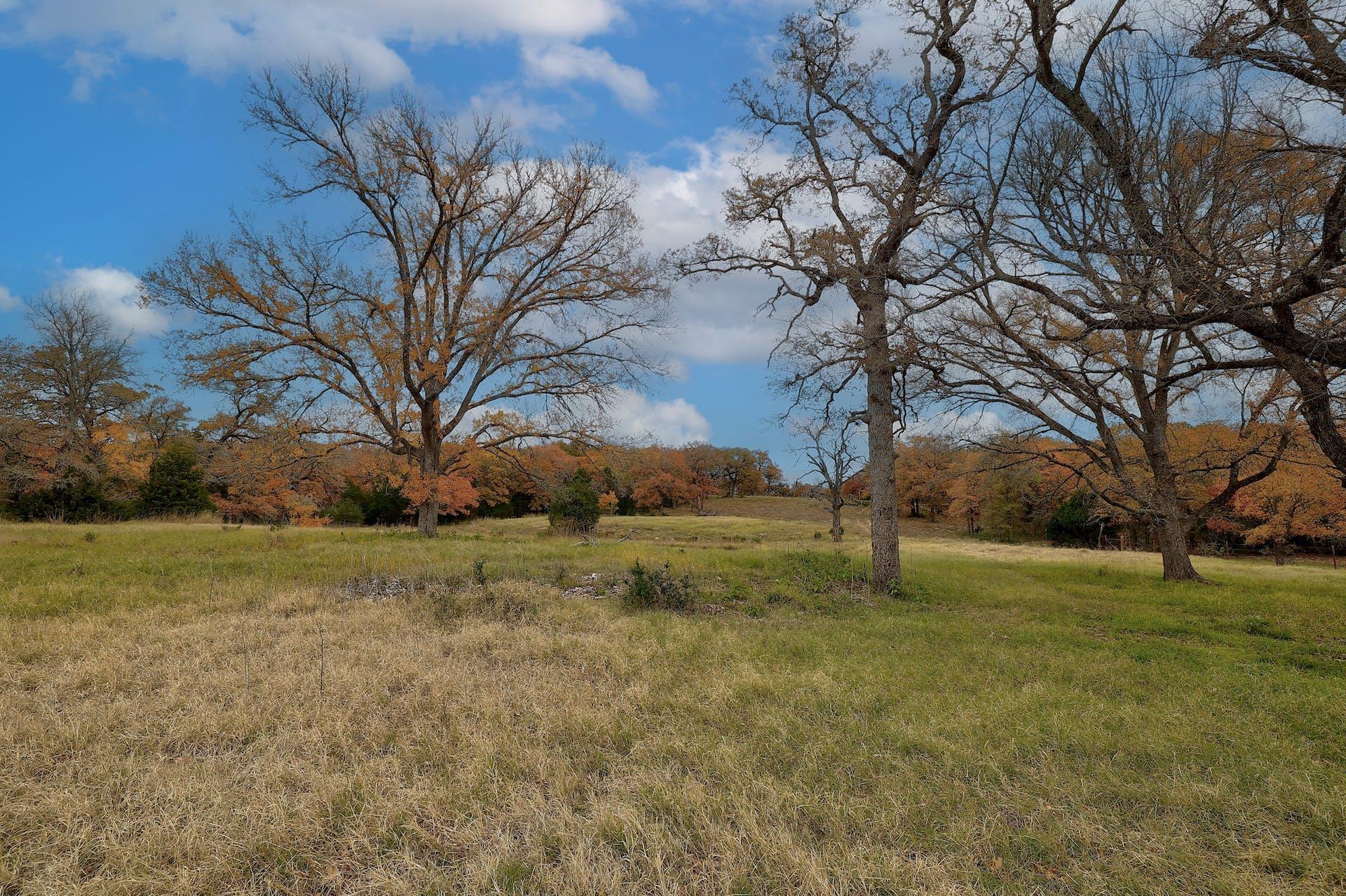 1563 County Road 312 Rd, Thrall, TX 76578