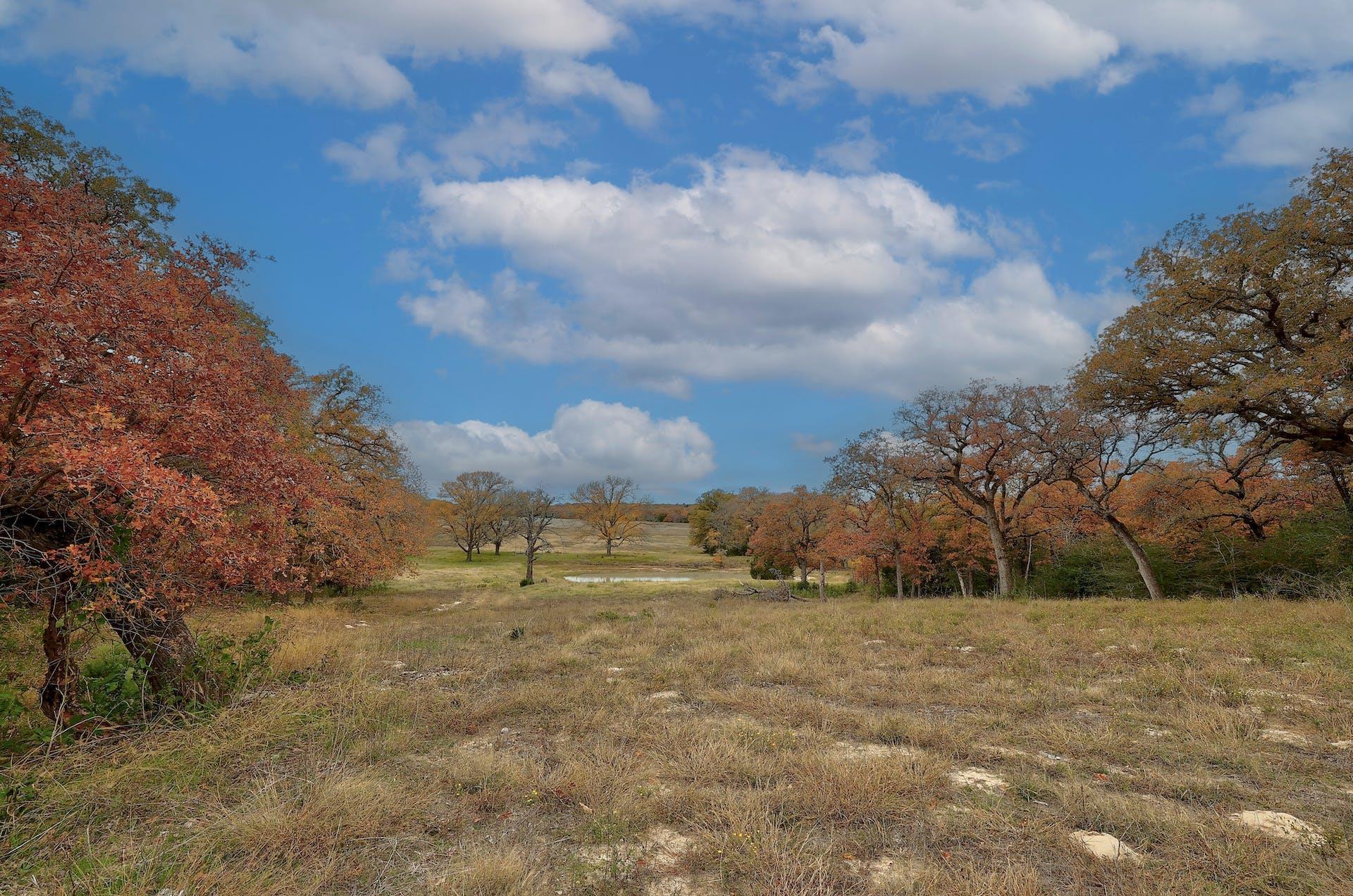 1563 County Road 312 Rd, Thrall, TX 76578