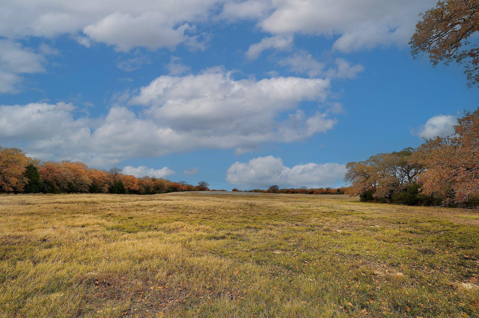 1563 County Road 312 Rd, Thrall, TX 76578