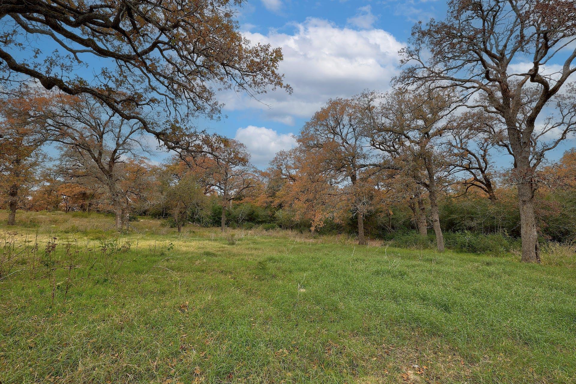 1563 County Road 312 Rd, Thrall, TX 76578