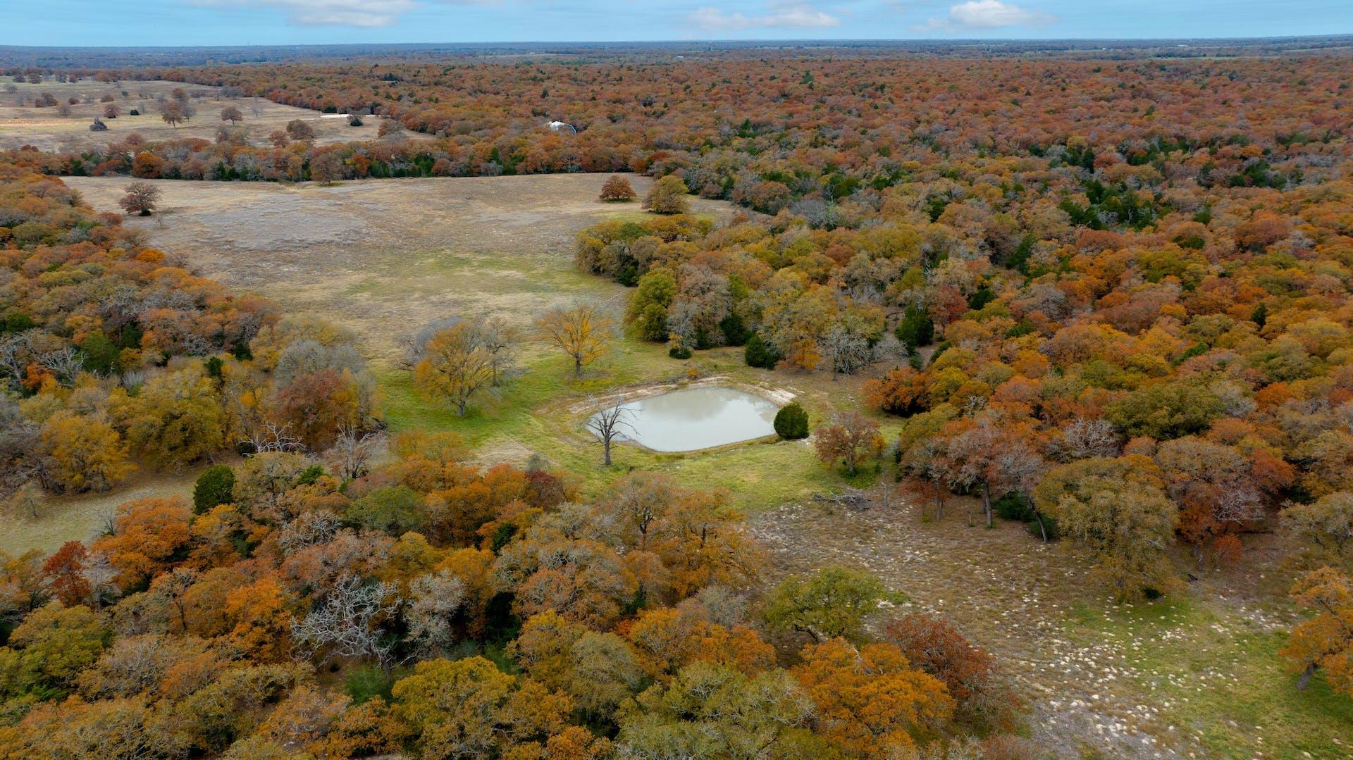 1563 County Road 312 Rd, Thrall, TX 76578