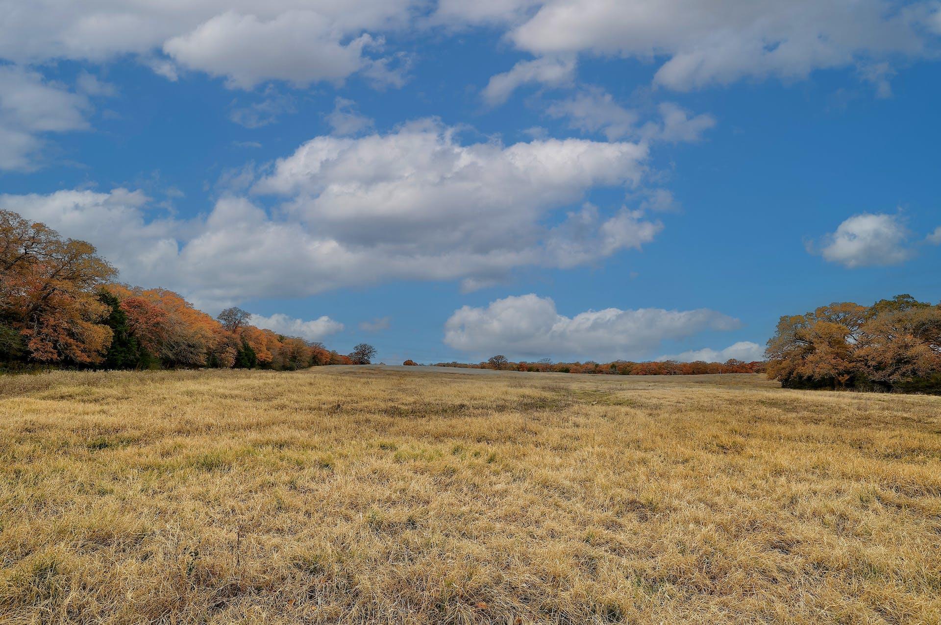 1563 County Road 312 Rd, Thrall, TX 76578