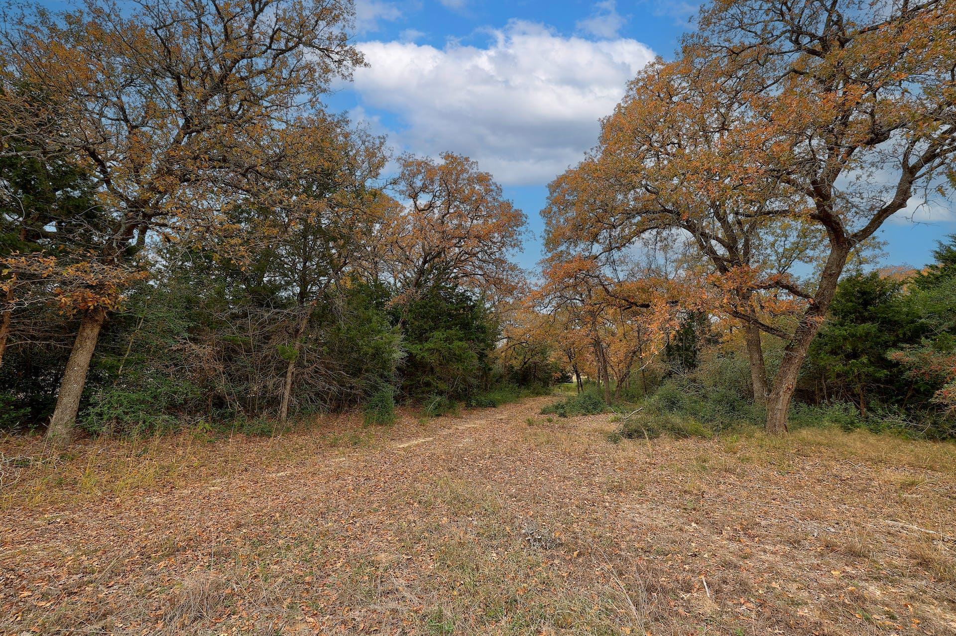 1563 County Road 312 Rd, Thrall, TX 76578