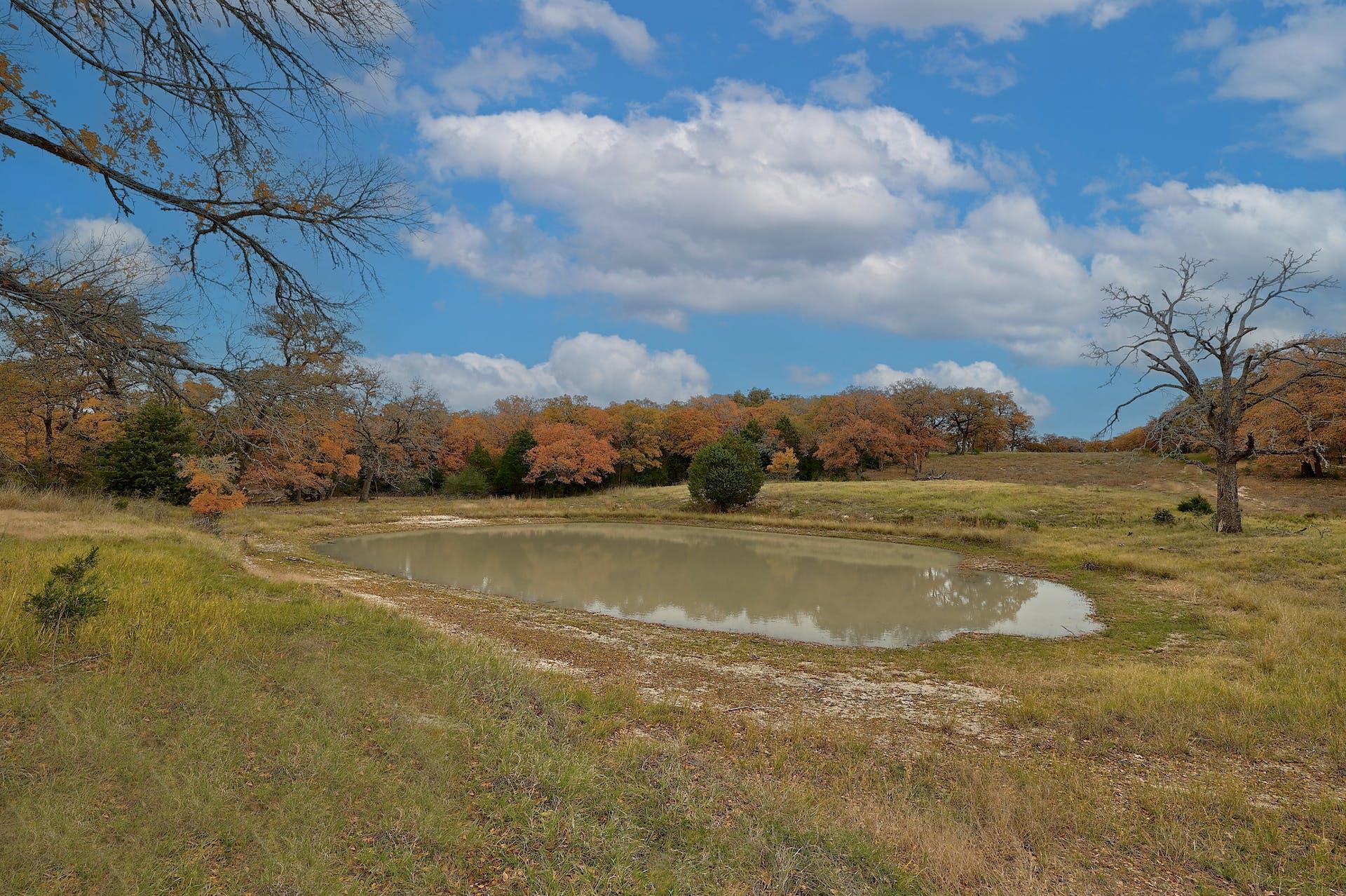 1563 County Road 312 Rd, Thrall, TX 76578