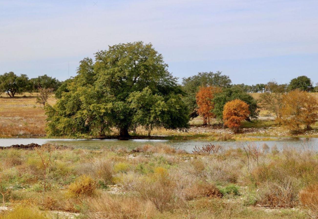 809 S Hemingway Loop, Liberty Hill, TX 78642