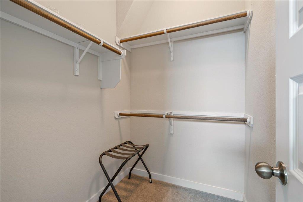 330 Hortus Dr, Kyle, TX 78640