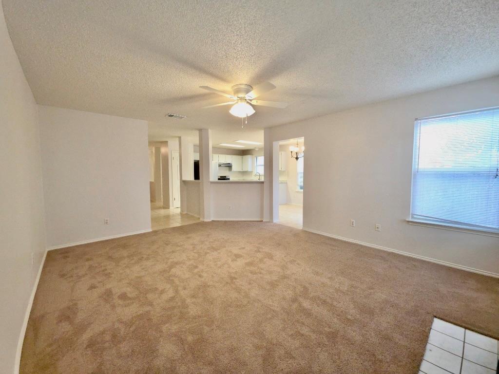 1313 Terra St, Round Rock, TX 78665