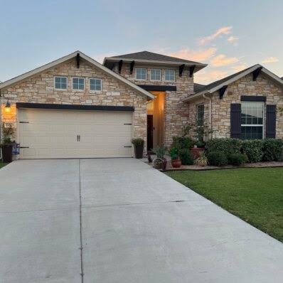 352 Vista Portola Loop, Liberty Hill, TX 78642