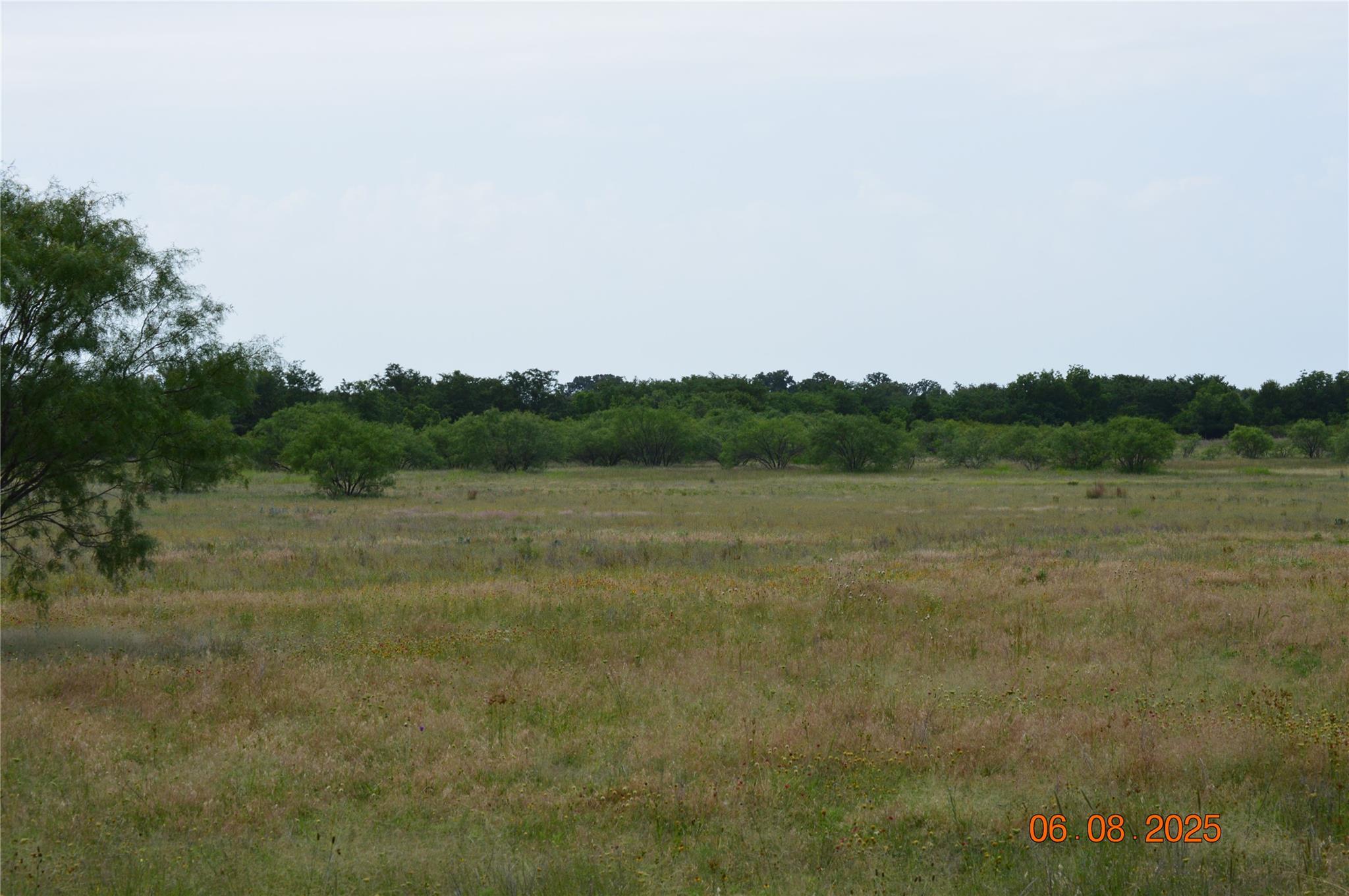 TBD County Road 400, Eastland, TX 76437