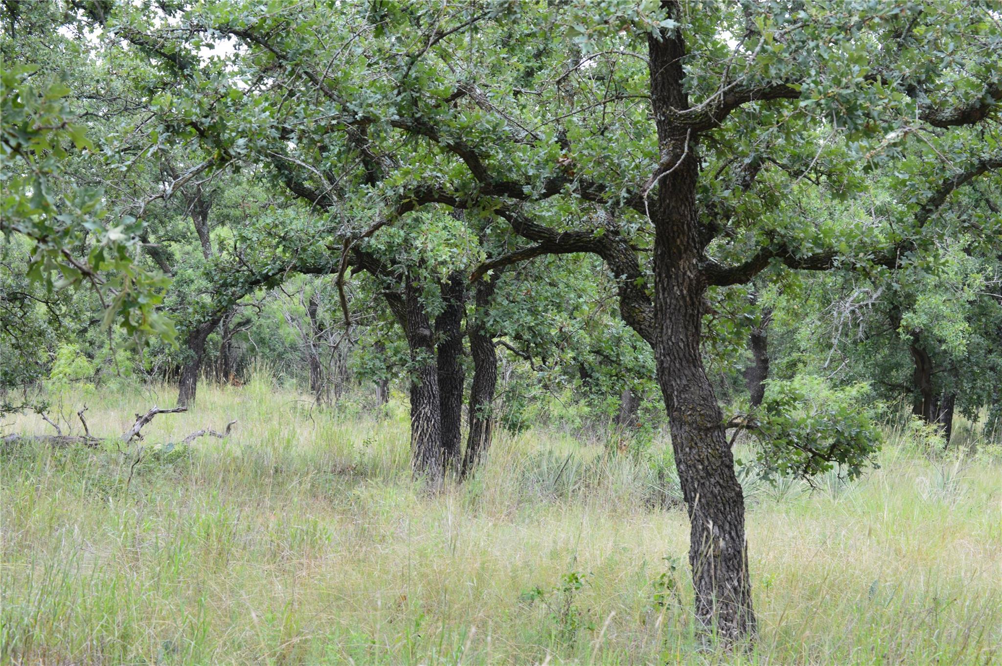TBD County Road 400, Eastland, TX 76437