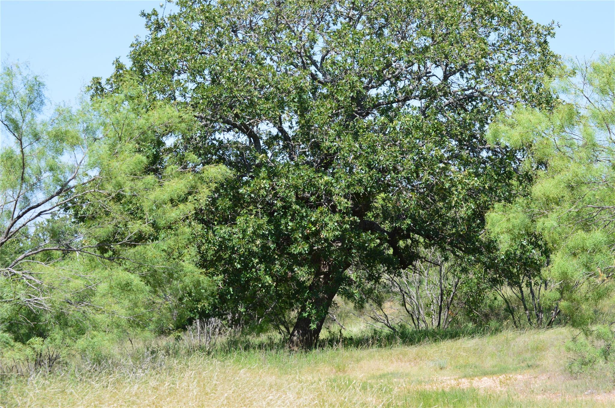 TBD County Road 400, Eastland, TX 76437