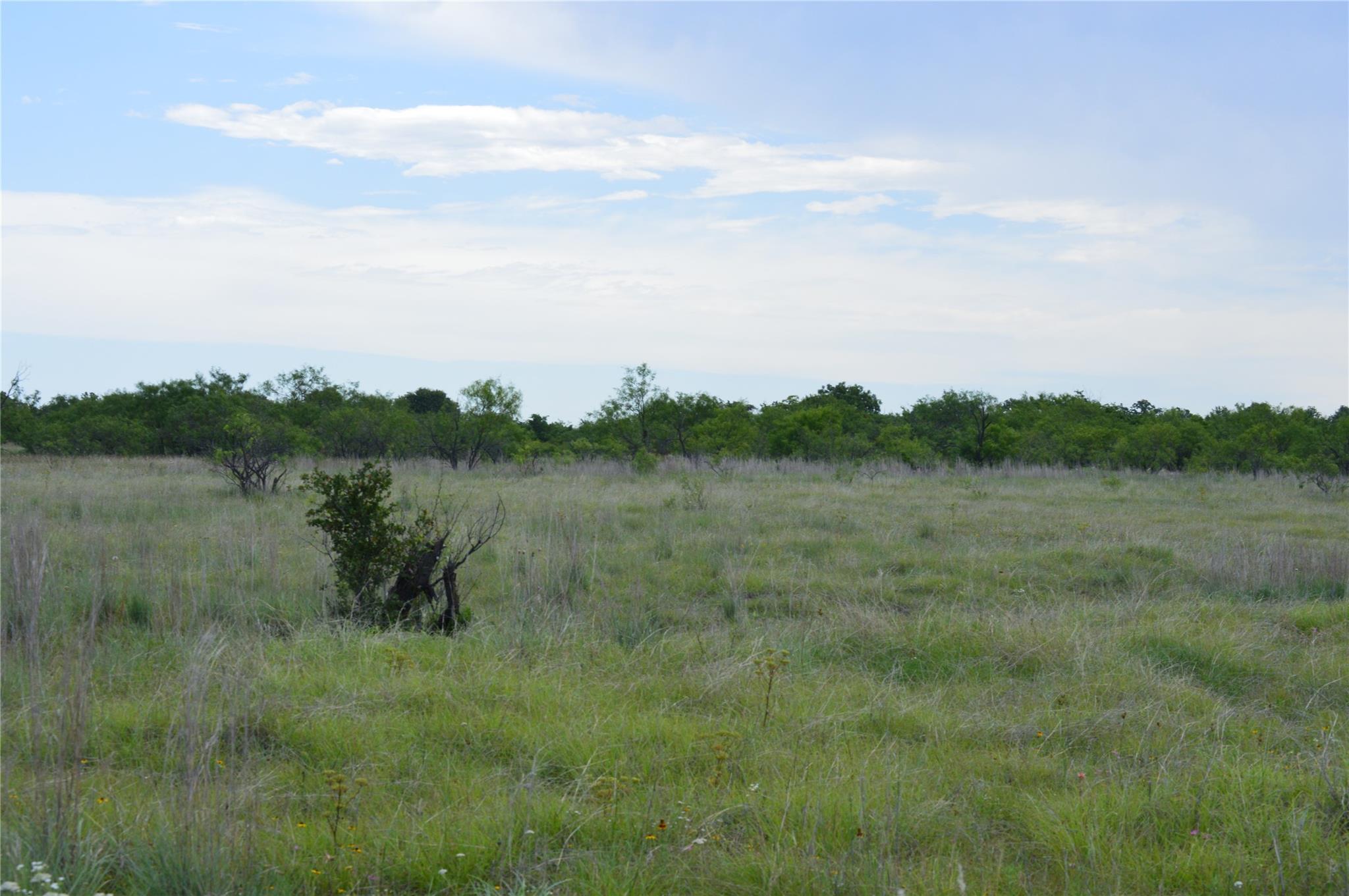 TBD County Road 400, Eastland, TX 76437