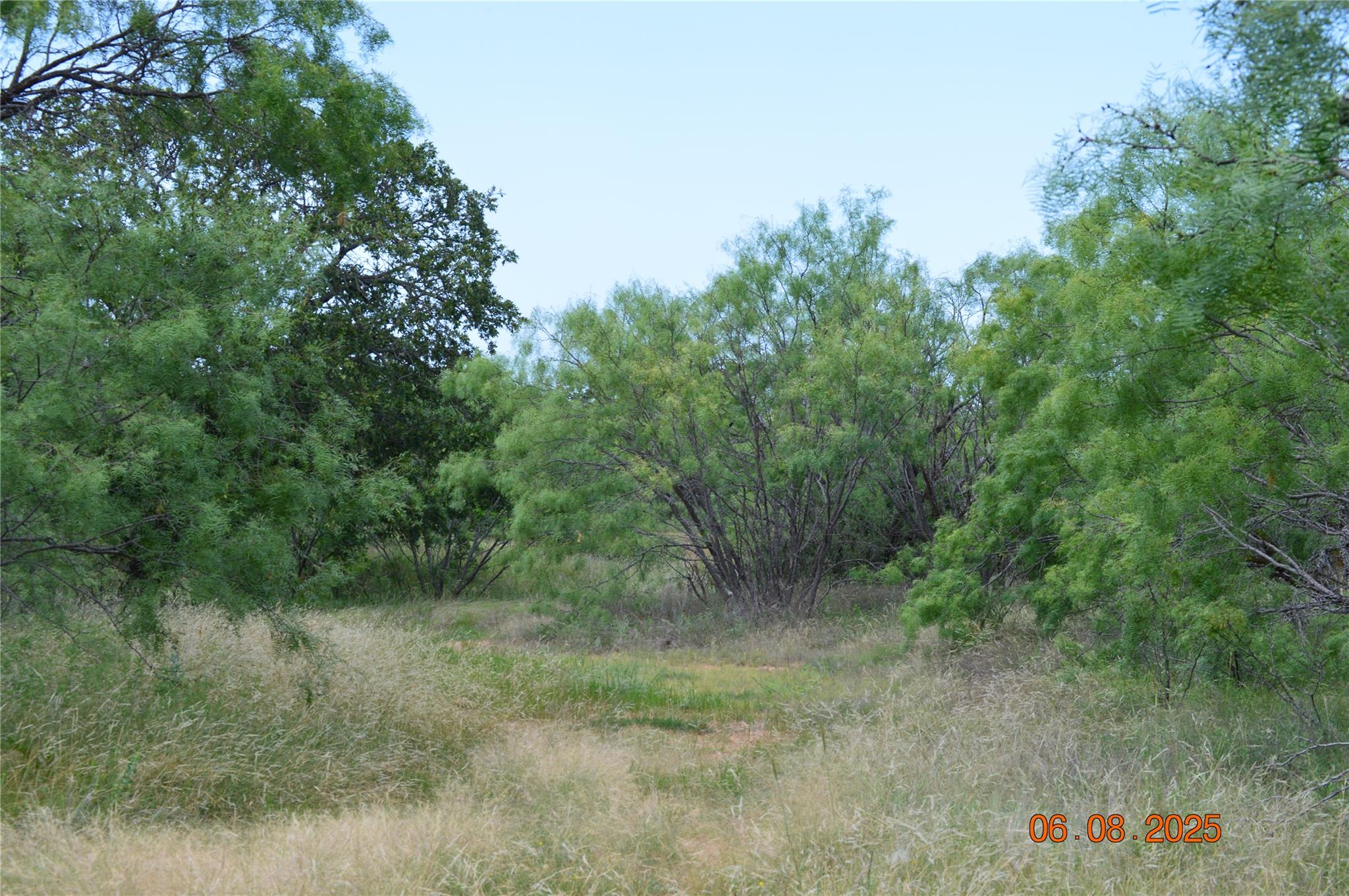 TBD County Road 400, Eastland, TX 76437